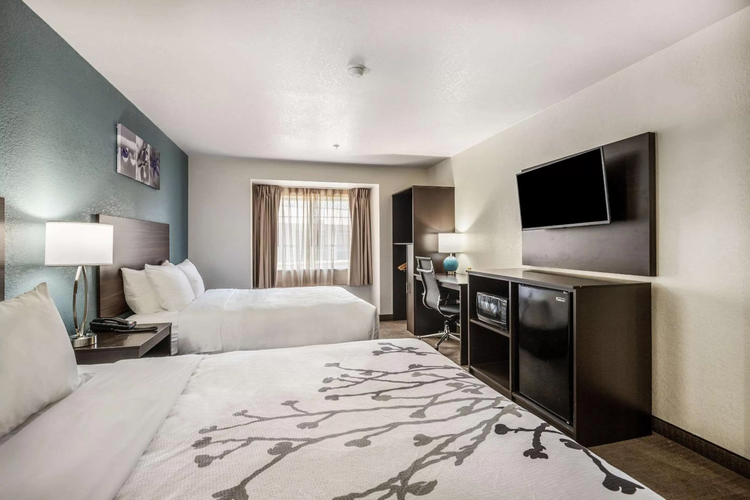 TV and multimedia, Bed in Sleep Inn & Suites Tallahassee-Capitol