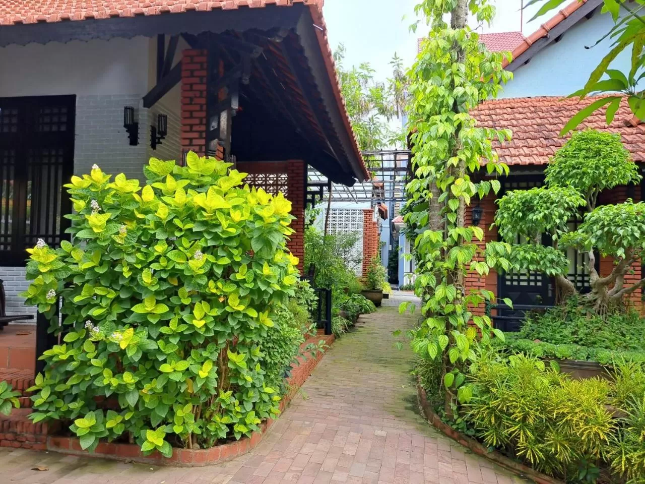 Garden in Betel Garden Villa
