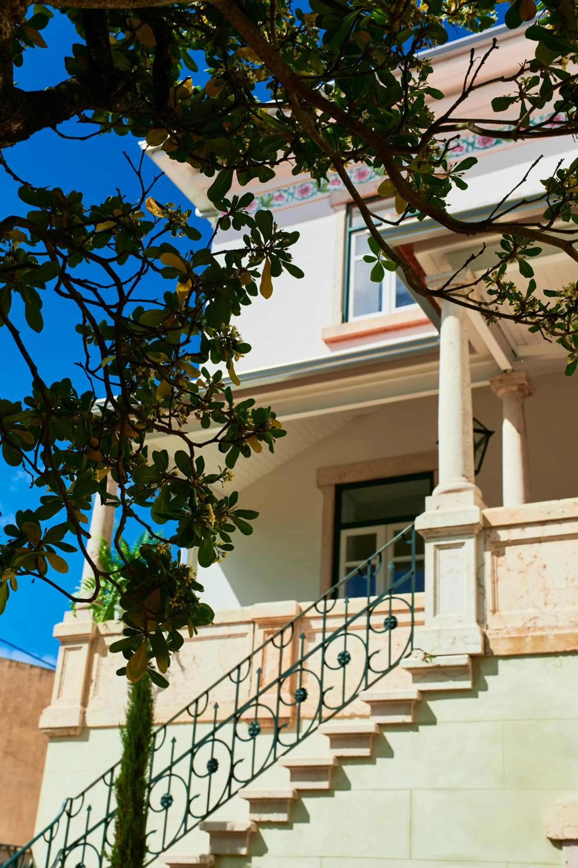 Vila Branca Guesthouse - Palacete