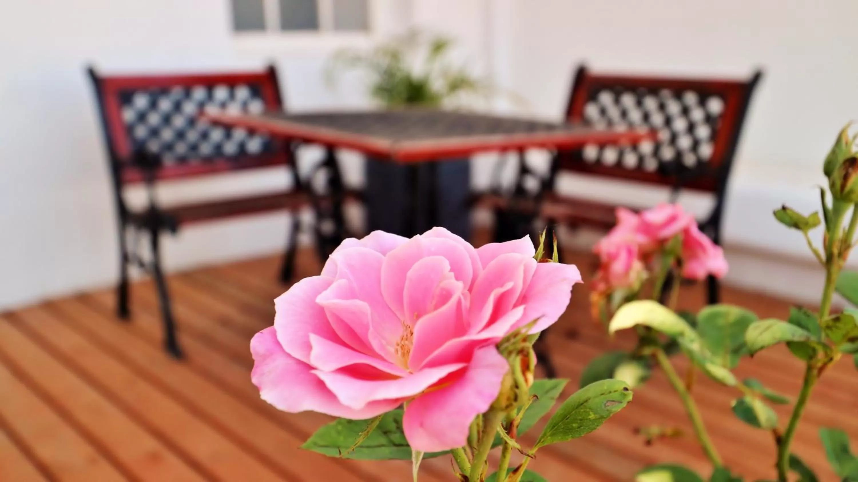Seating area in theLAB Robertson