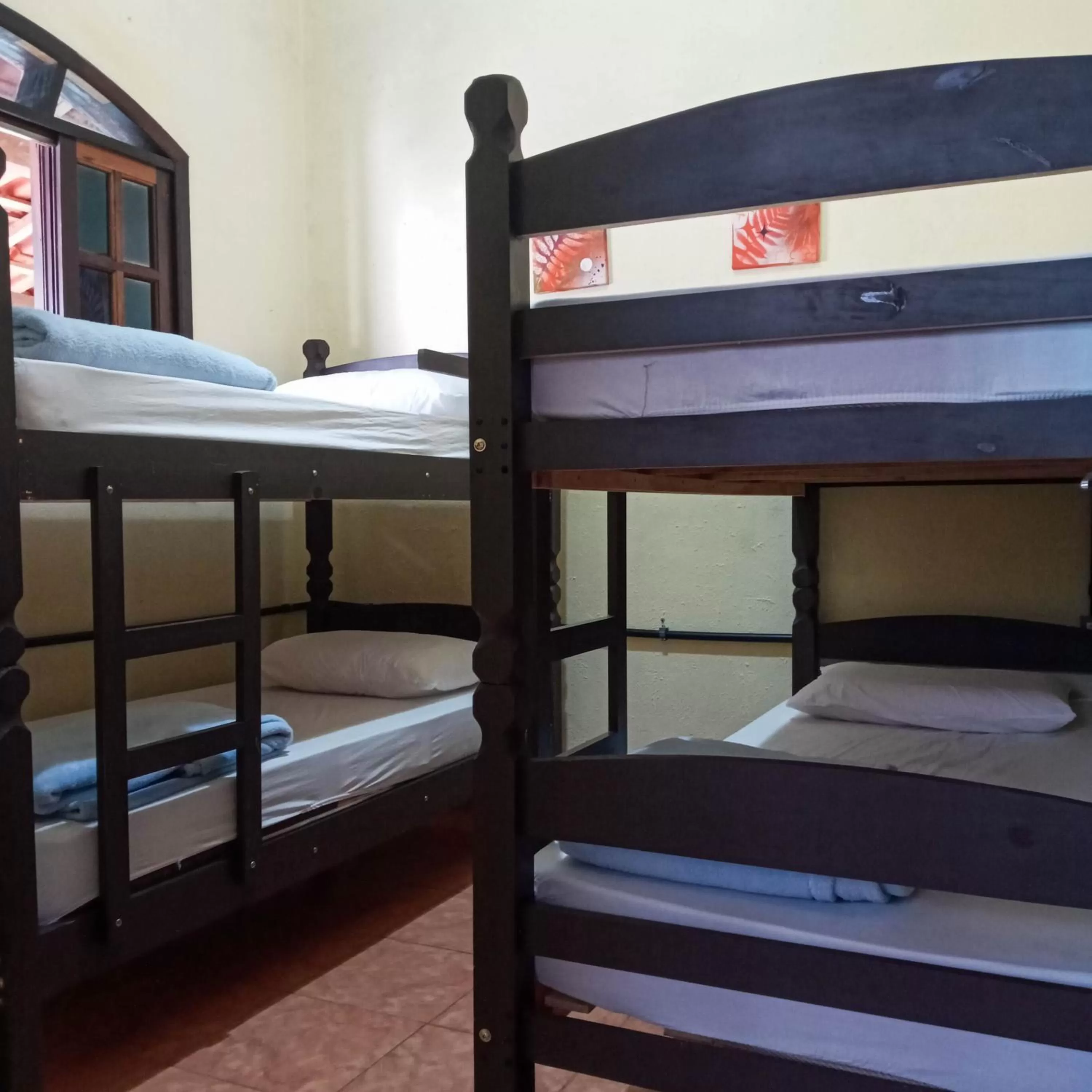 Bunk Bed in Pousada e Hostel Marthi