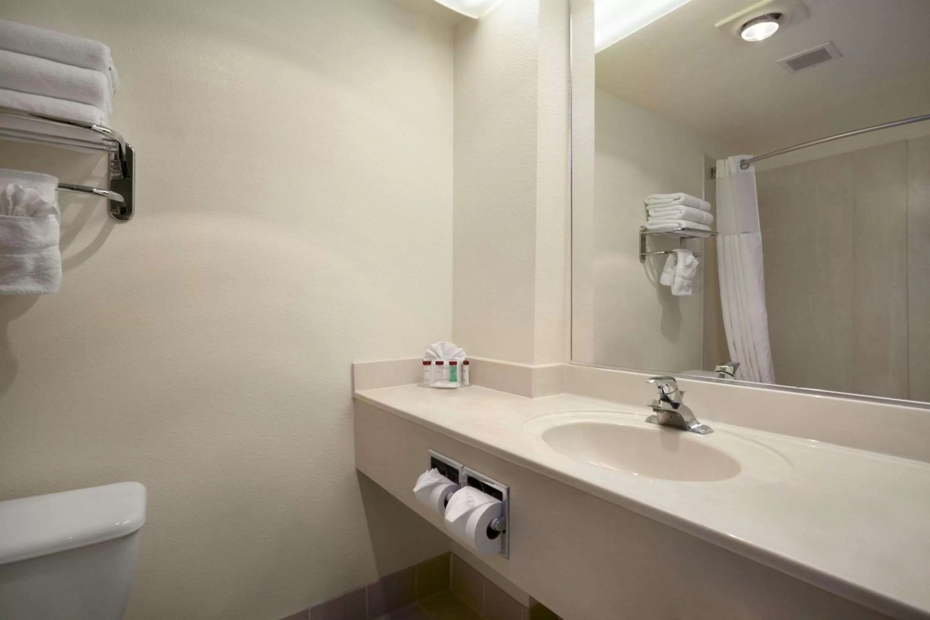 Bathroom in Ramada by Wyndham Williams