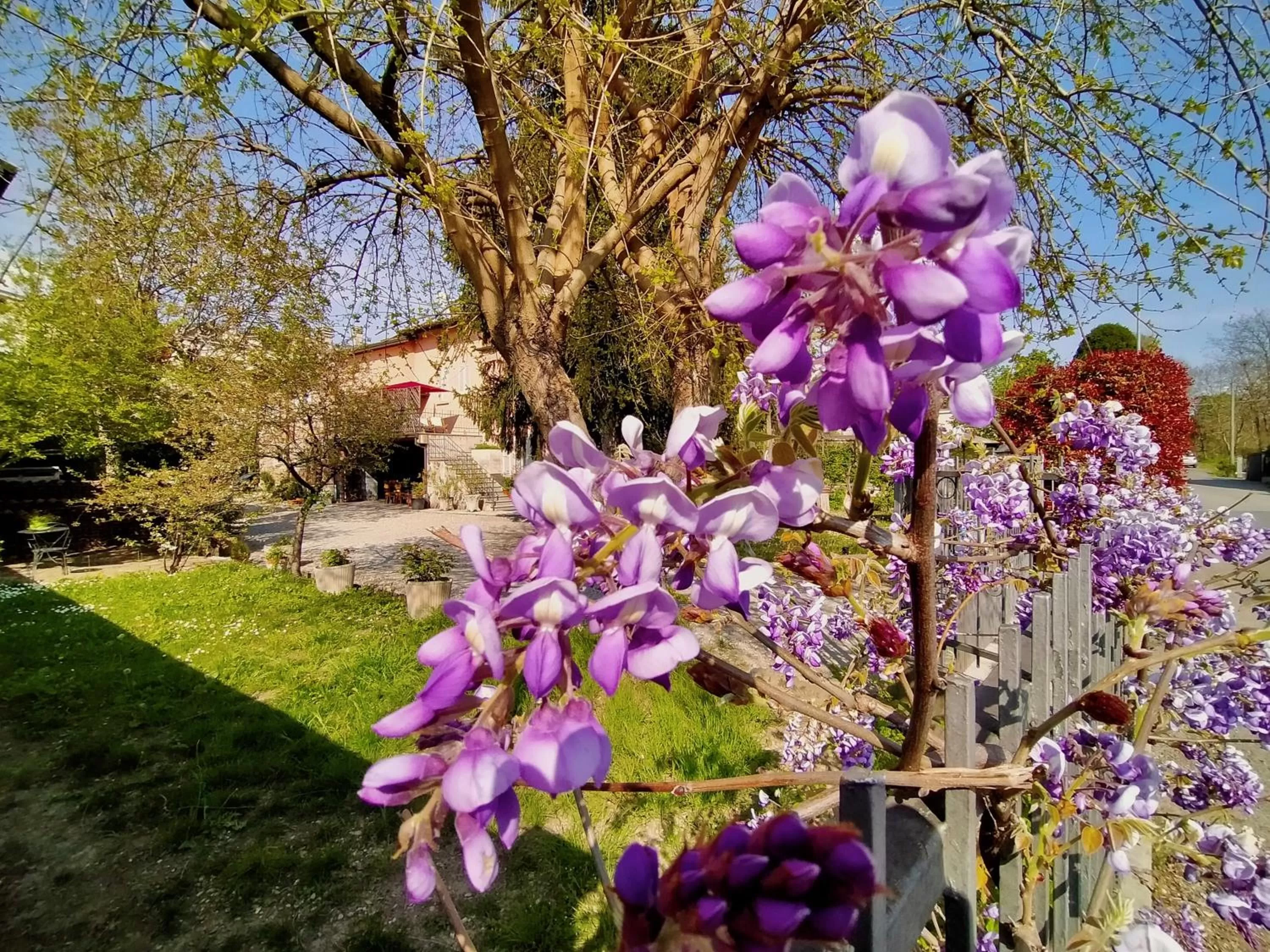 Garden in B&B La Bugia di Villa Tanzi