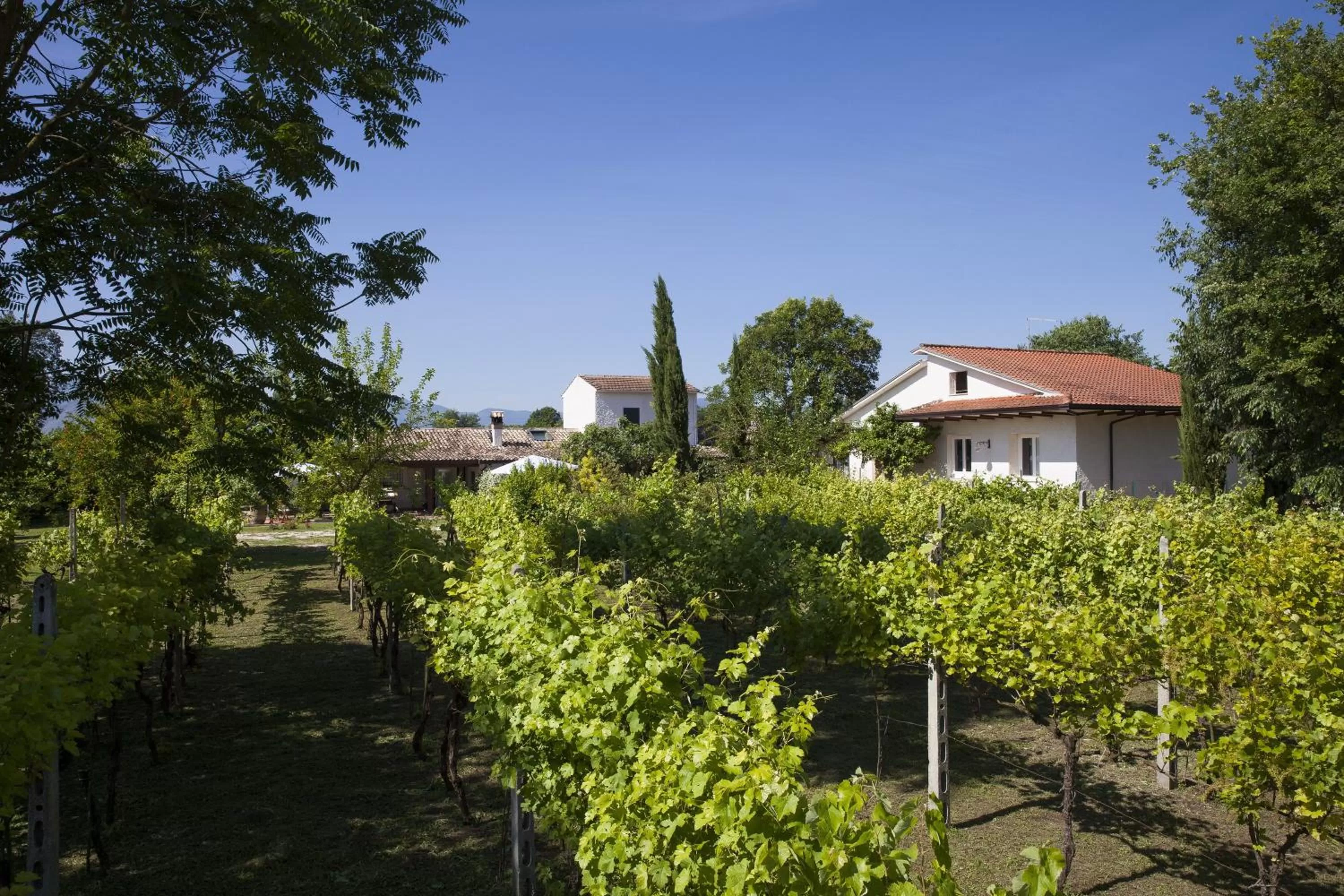 Property building in Antico Casale Spezia Pelagalli