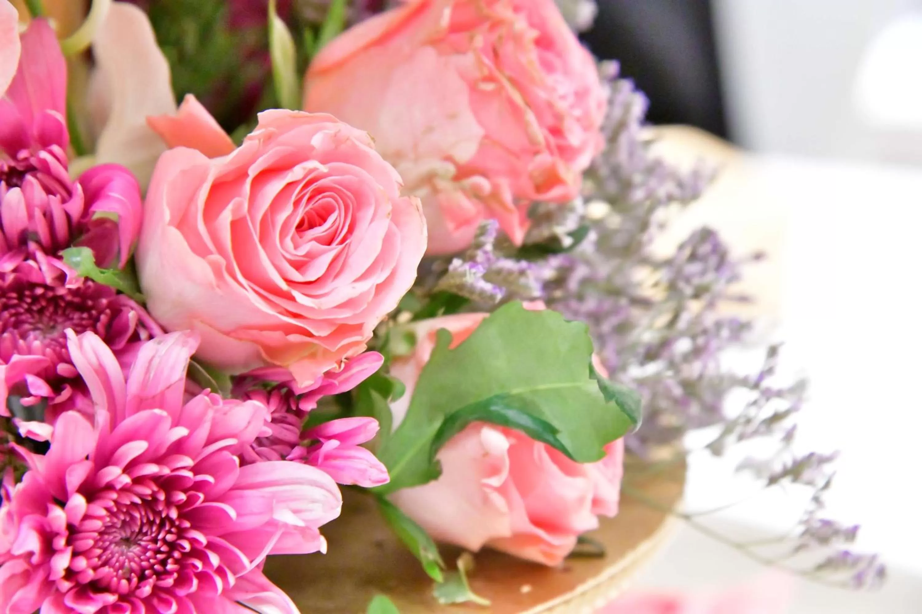 Other in Radisson Blu Hotel, Jeddah Al Salam