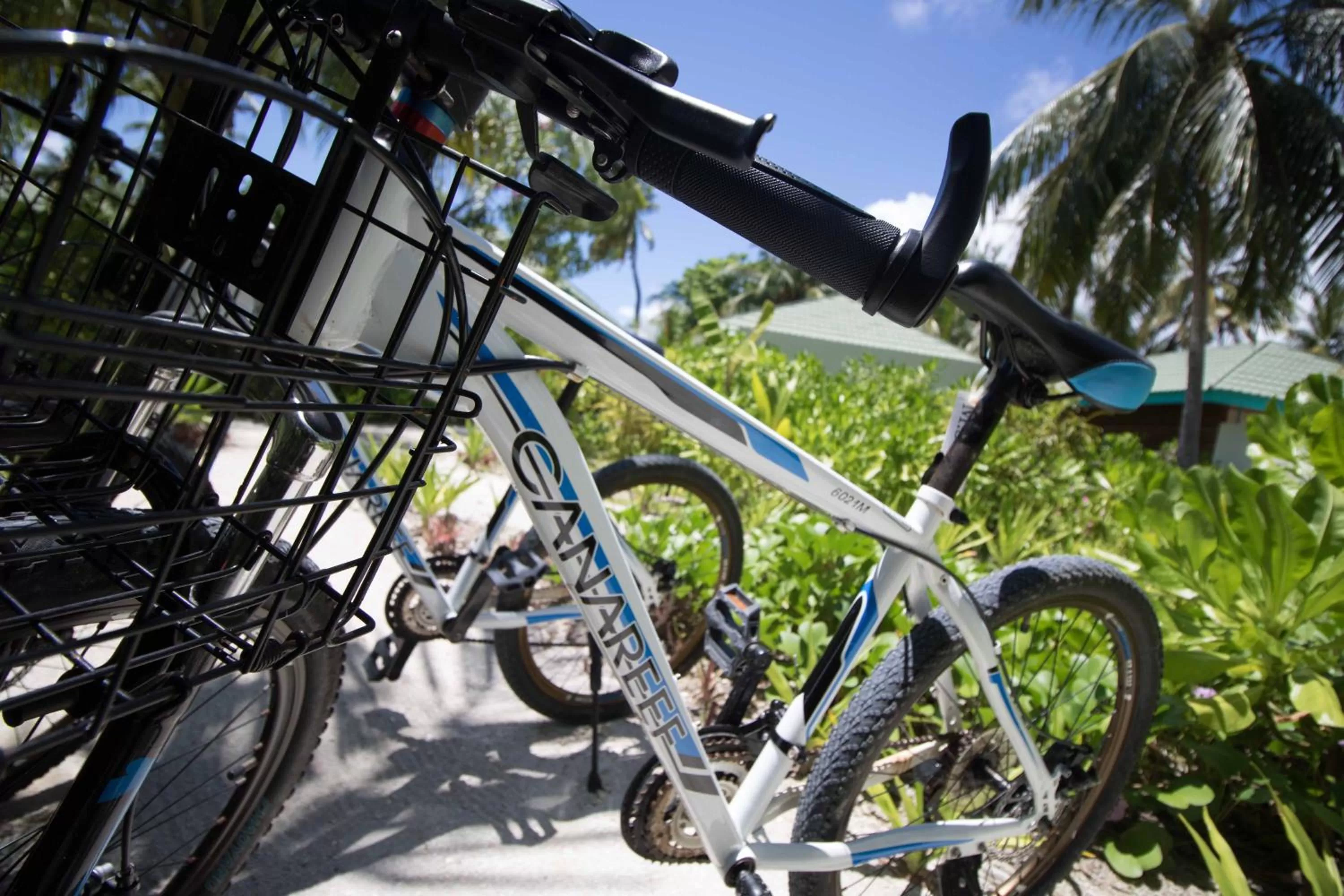 Cycling in Canareef Resort Maldives