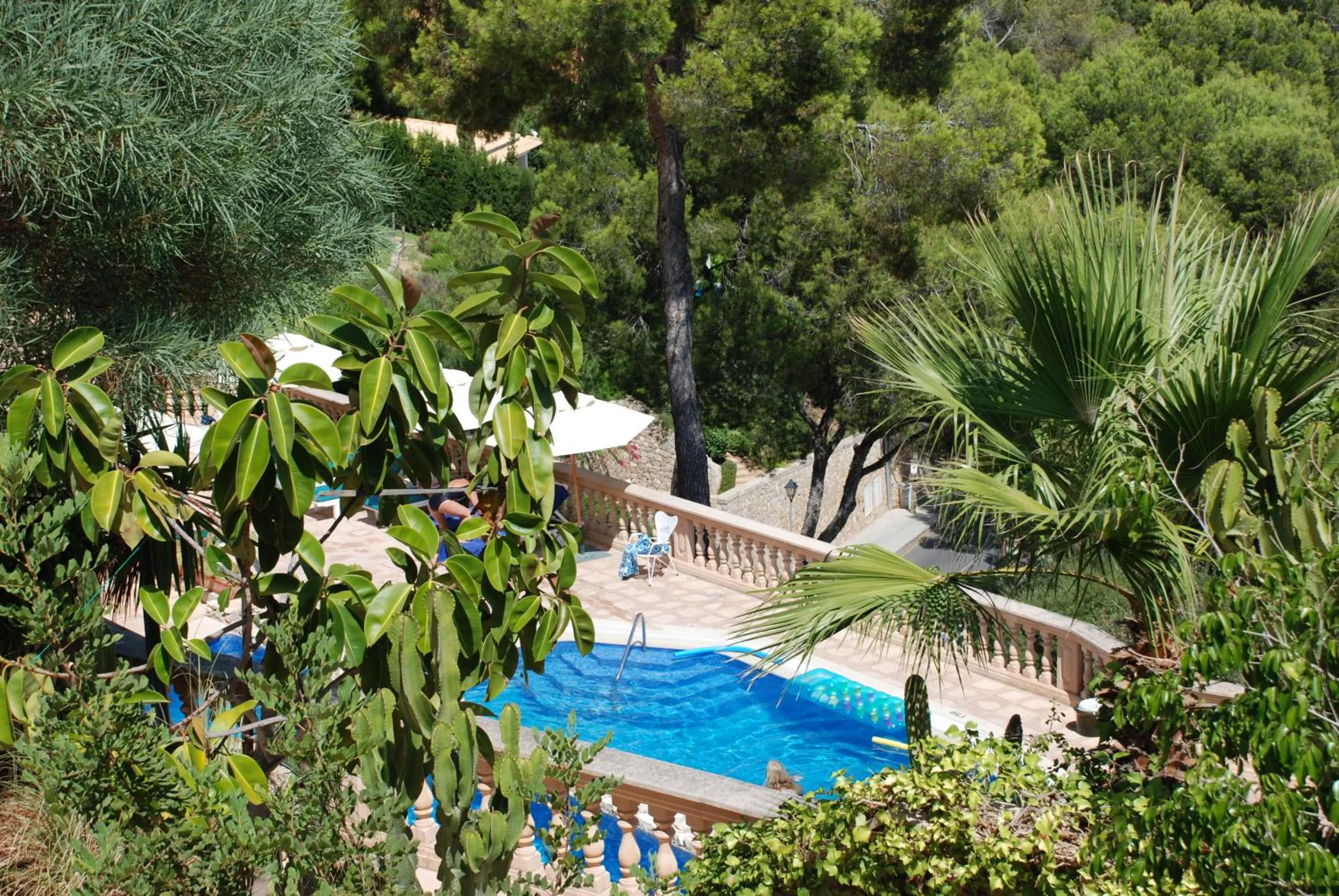 Swimming pool in Hotel Petit Cala Fornells