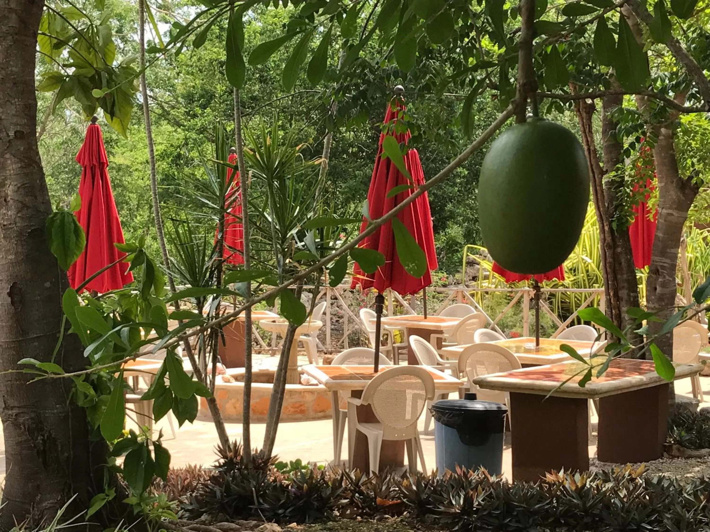 View (from property/room) in The Pickled Onion Eco-Boutique B&B