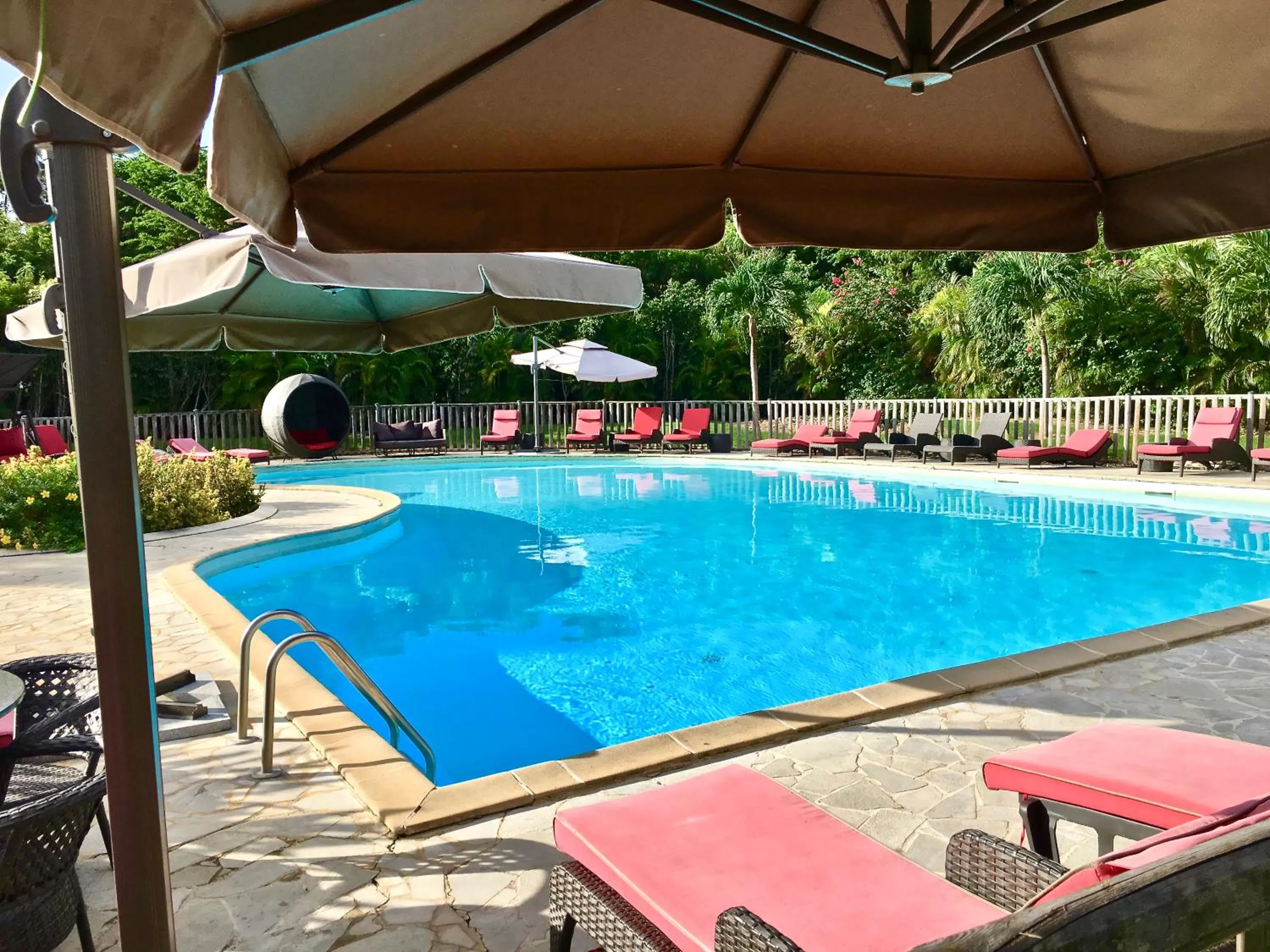 Swimming pool in Résidence Le Vallon Guadeloupe Parc Piscine Appartements & Studios