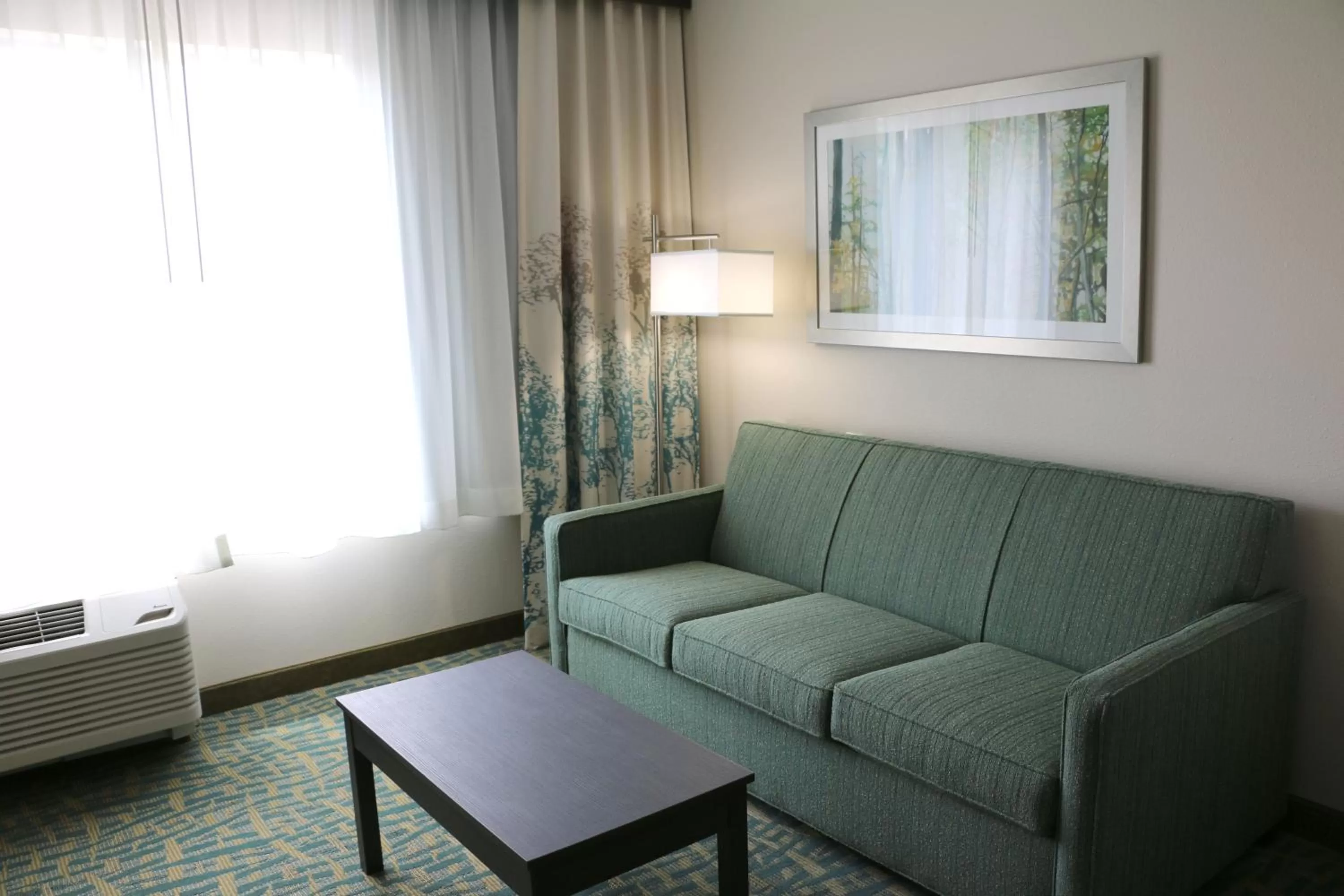 Living room in Holiday Inn Express & Suites - Hendersonville SE - Flat Rock by IHG