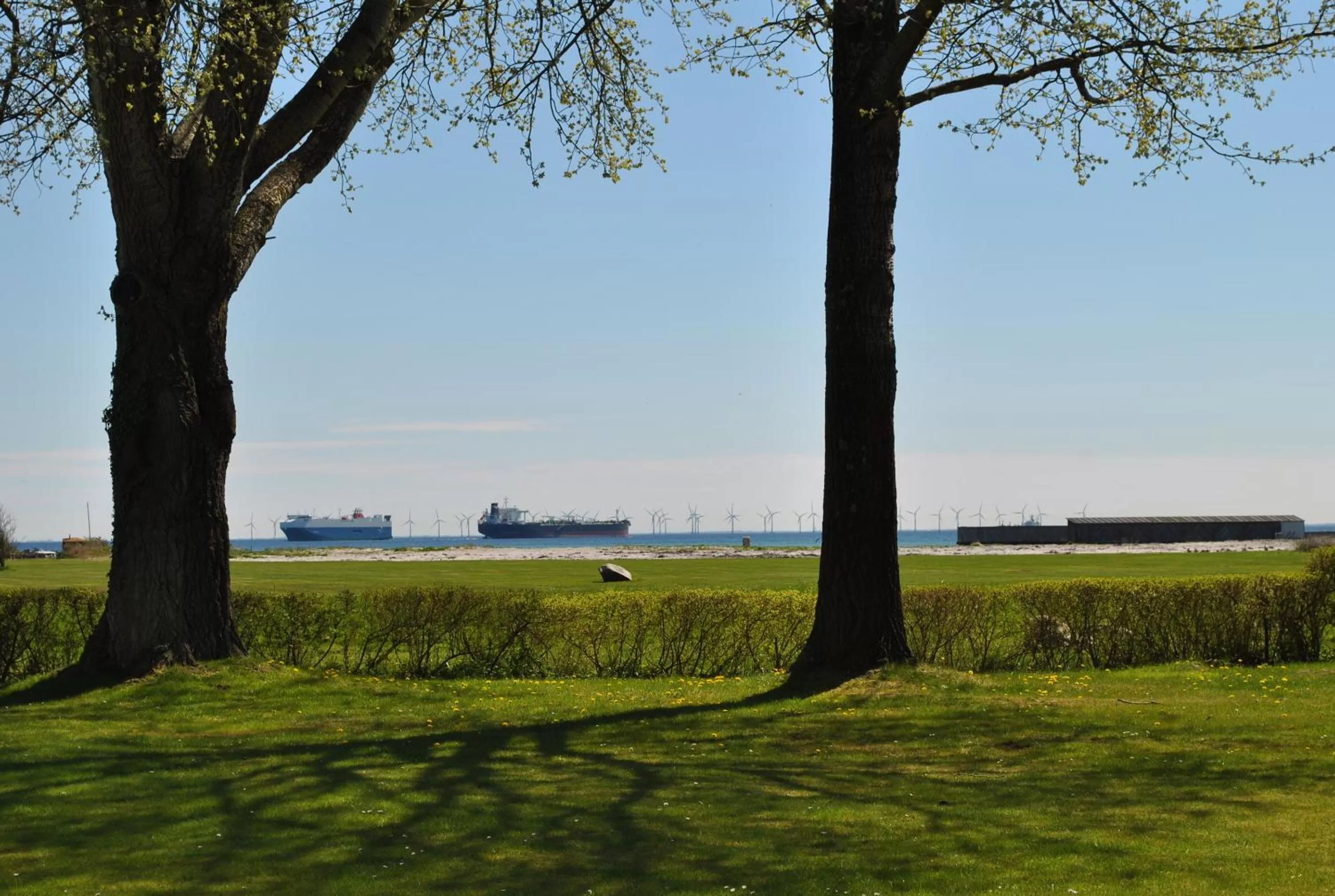 Garden in Copenhagen Airport Hotel