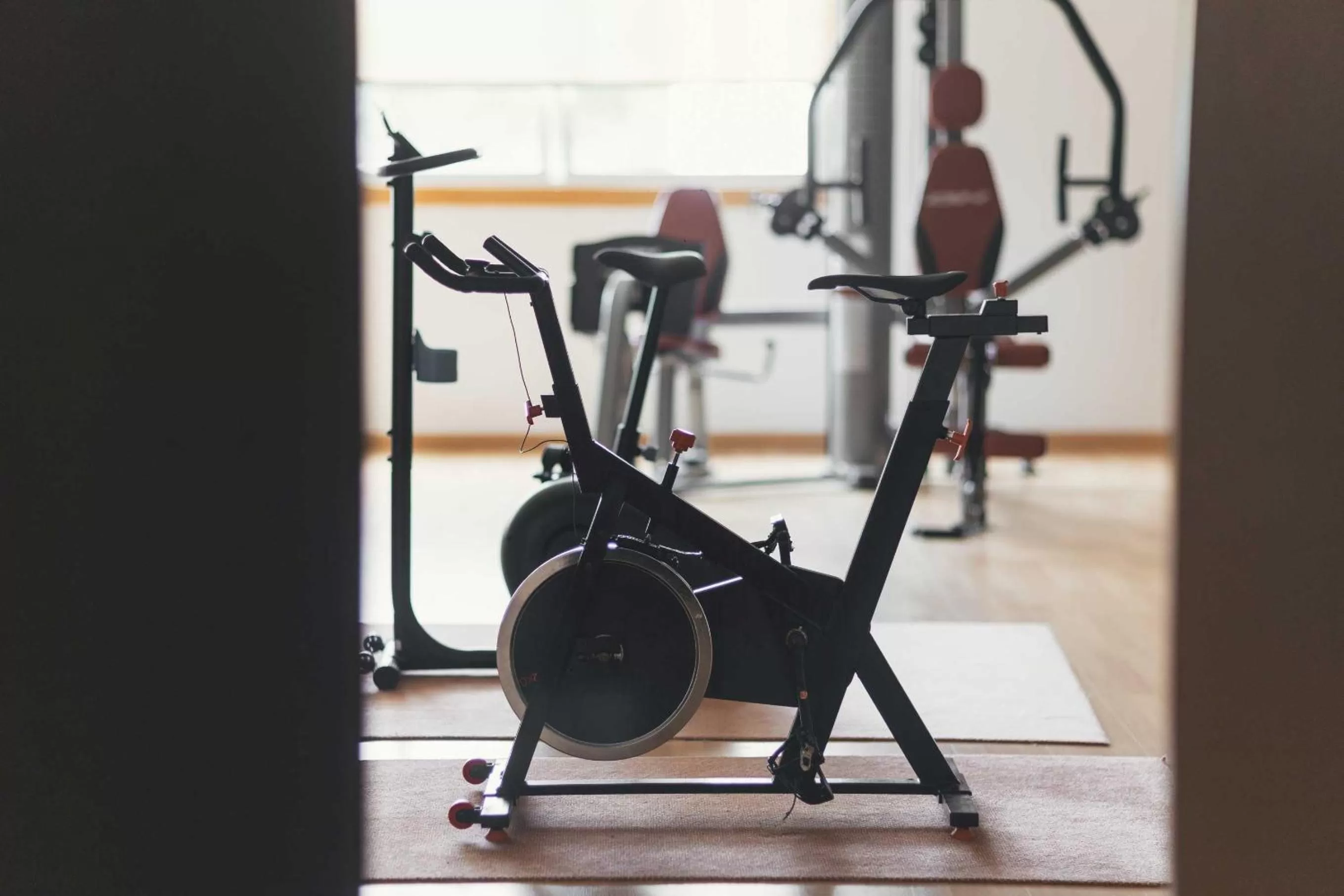 Fitness centre/facilities in Hotel Alfonso I