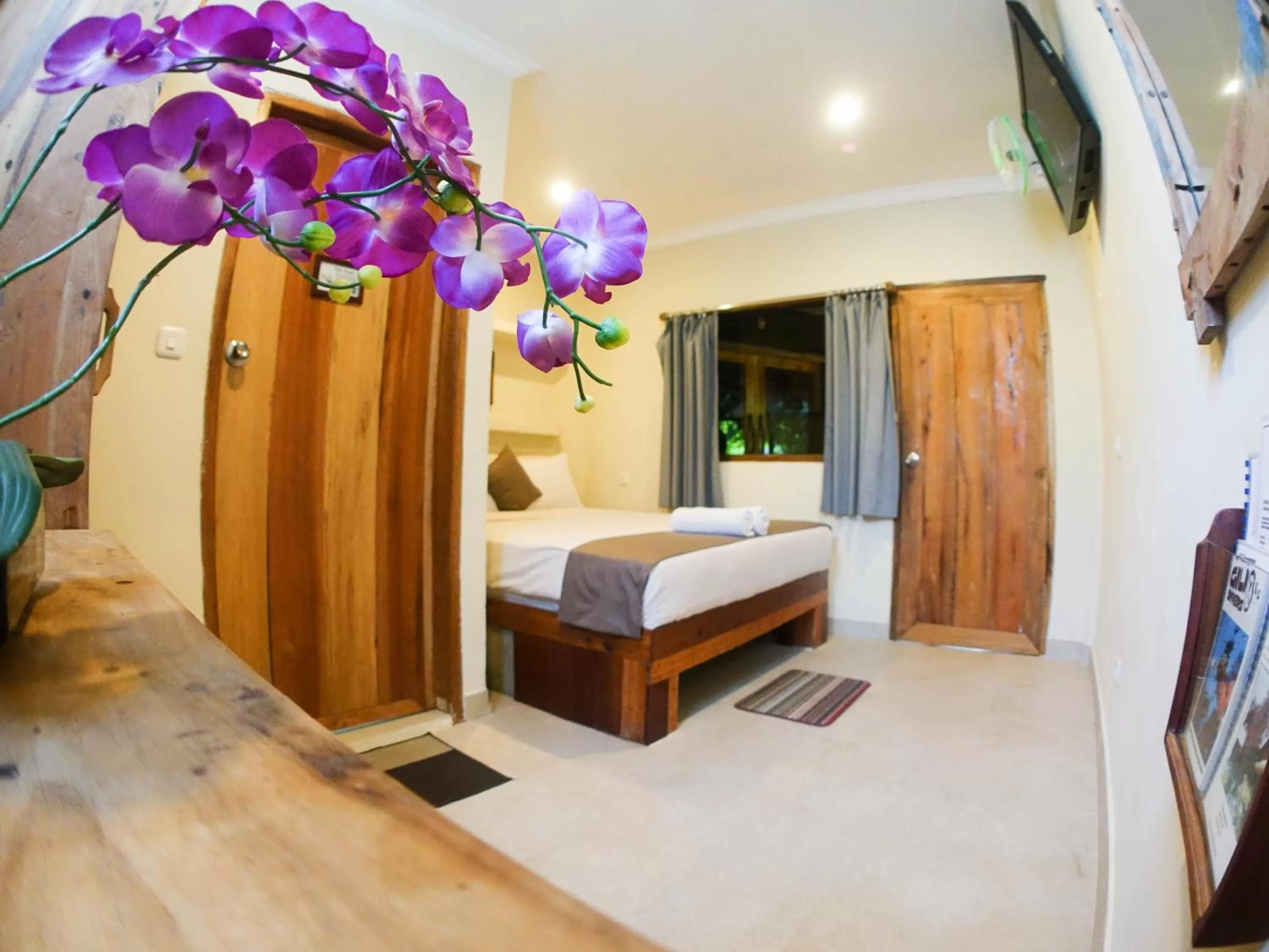 Photo of the whole room, Room Photo in Gili Divers Hotel