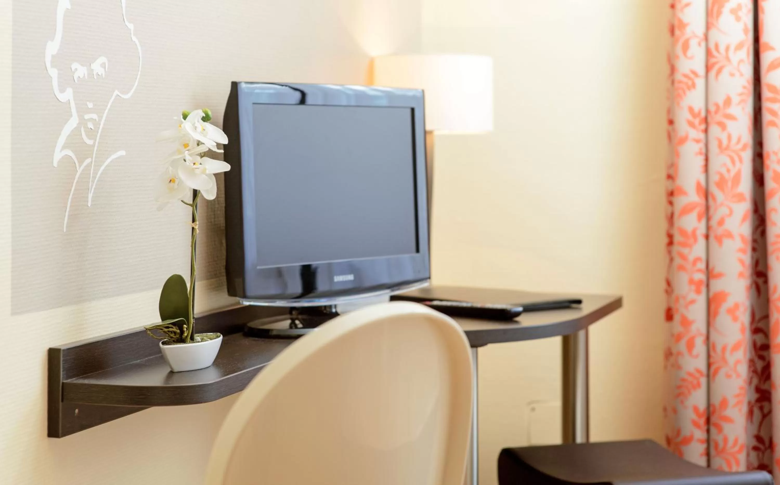 TV and multimedia in Hotel Europa