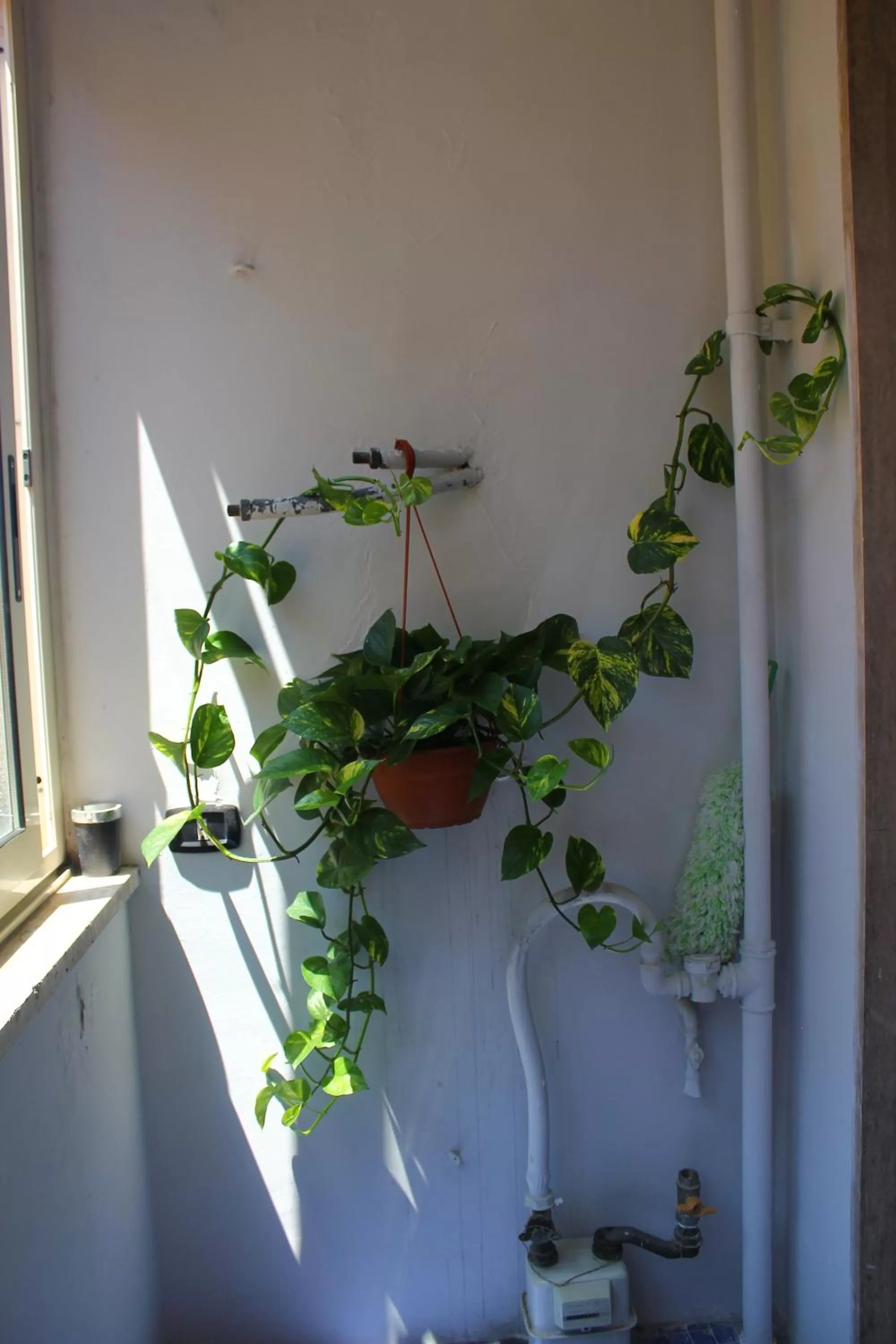 hair dresser in Stazione Centrale B&B