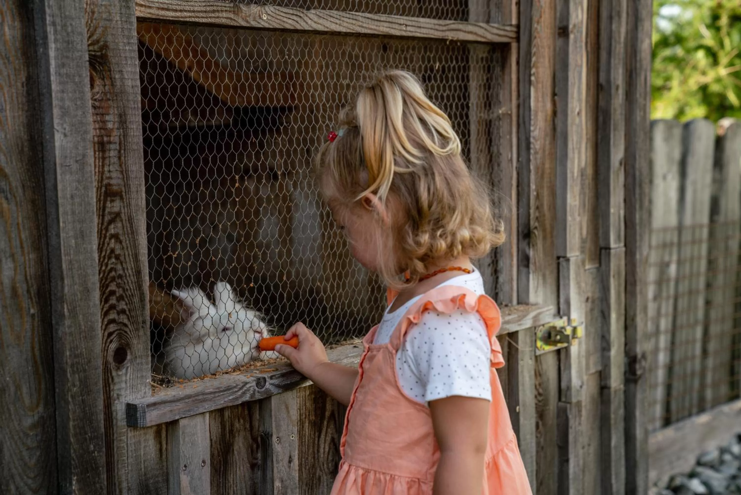 Children play ground in Almwelt Austria