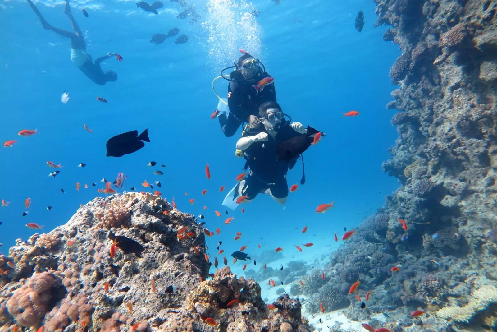 Diving in Jasmine Palace Resort