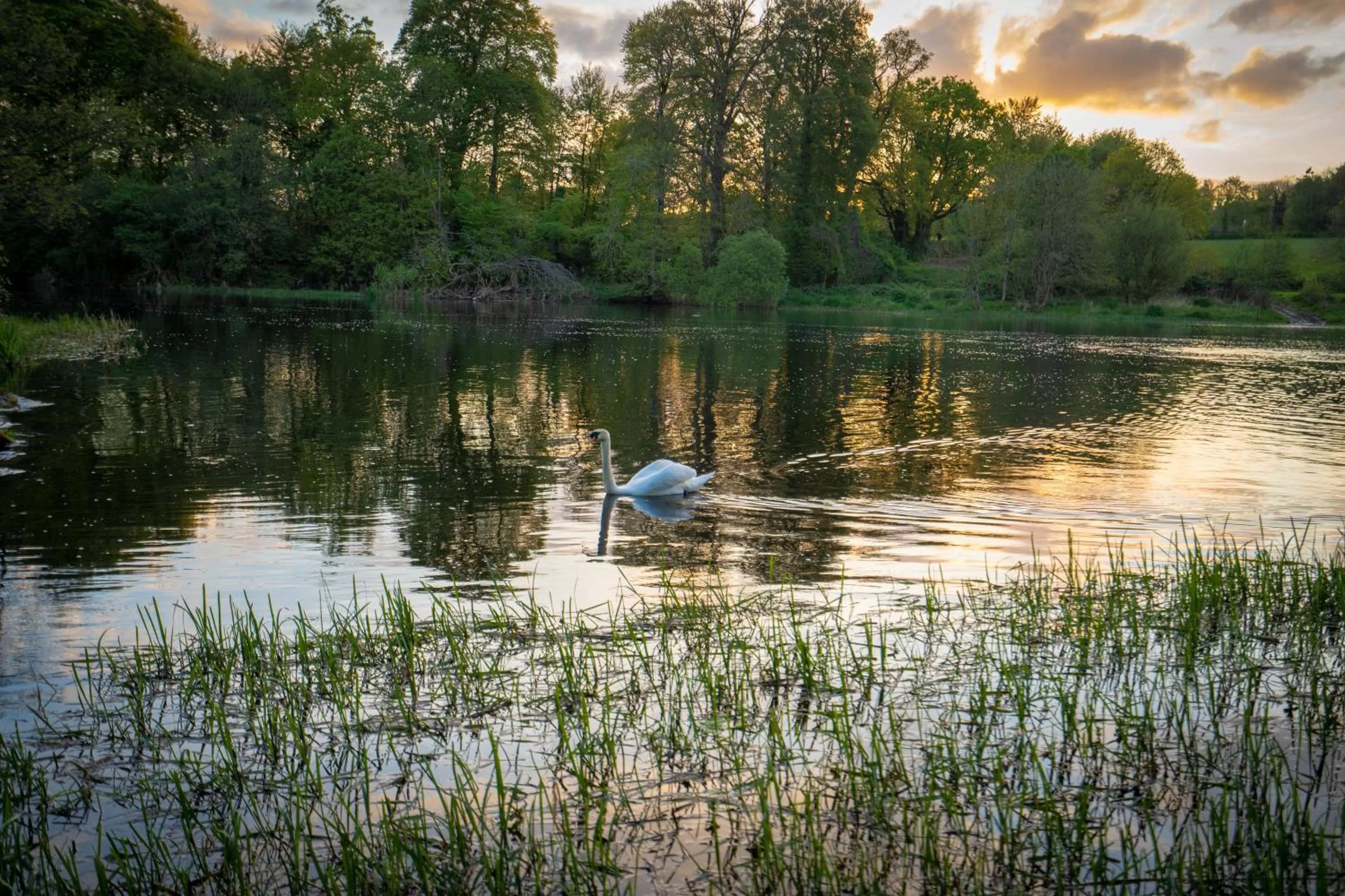 Natural landscape in Castle Oaks House Hotel