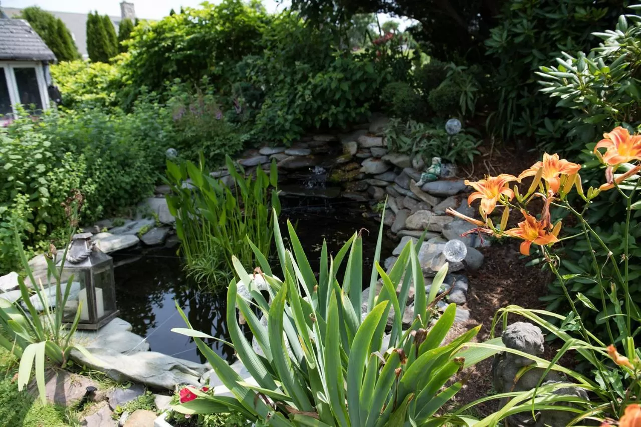 Garden in Gardenview Bed and Breakfast