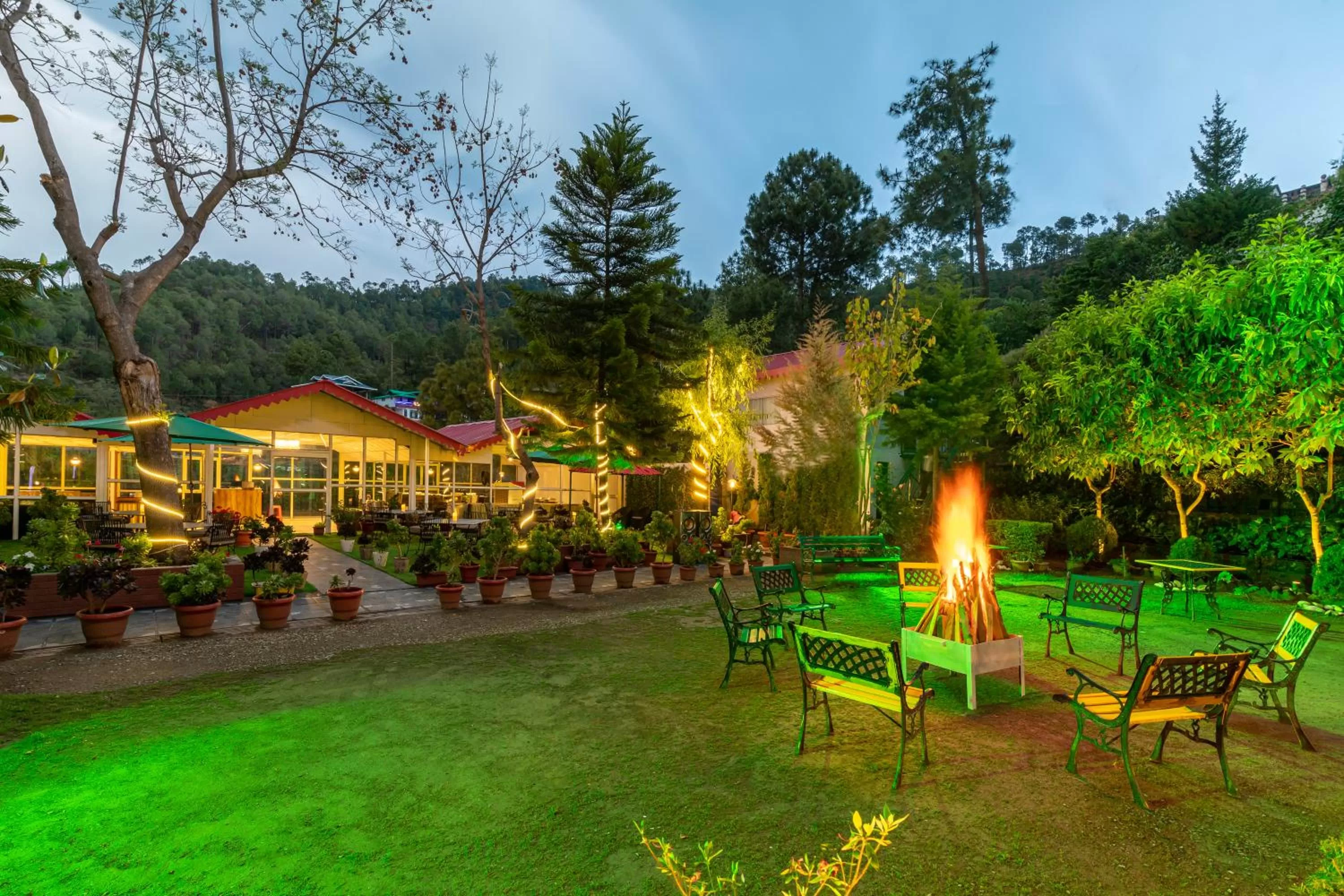 Restaurant/places to eat in Maple Resort Chail
