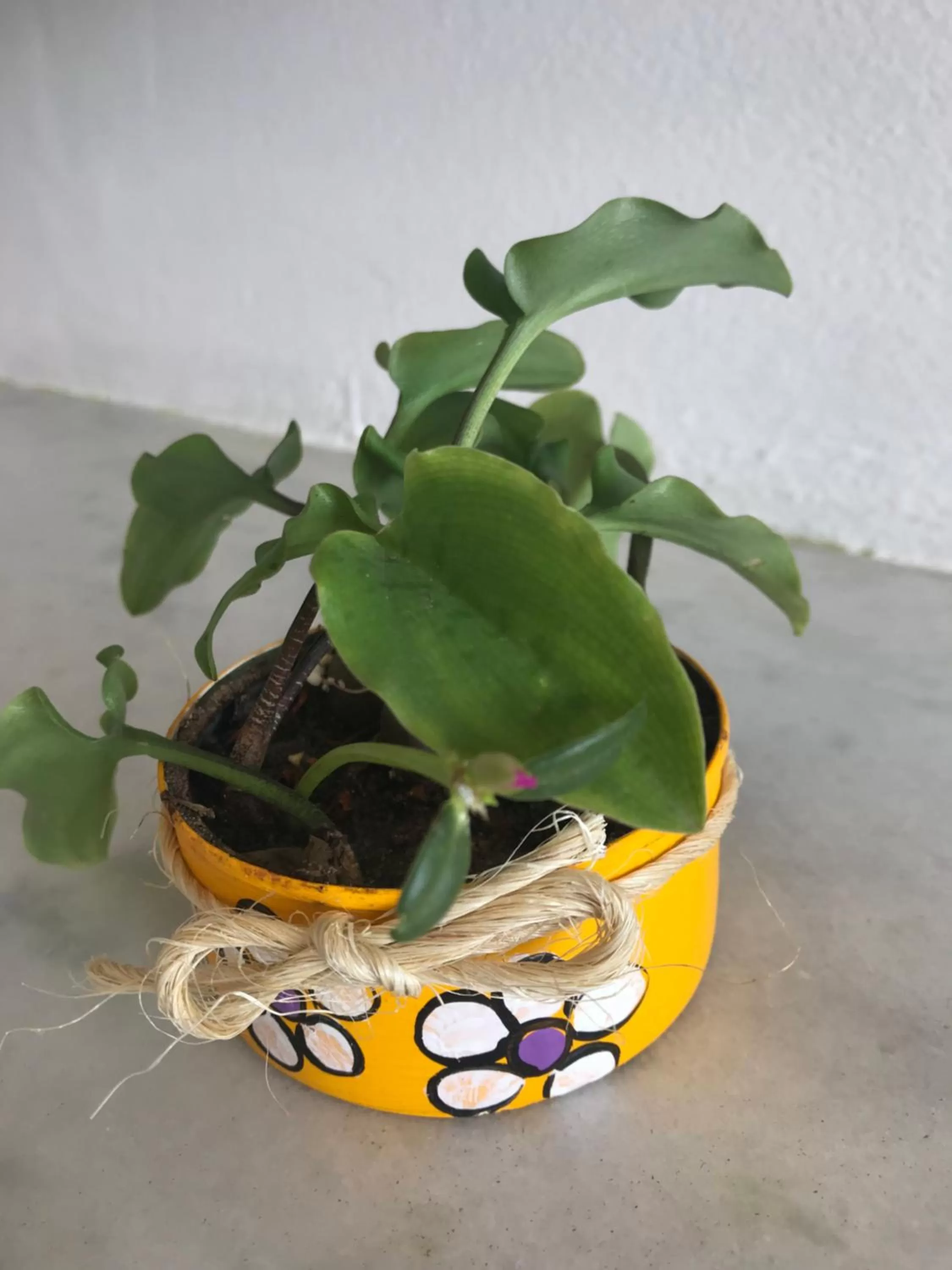 Decorative detail in Pousada America do Sol