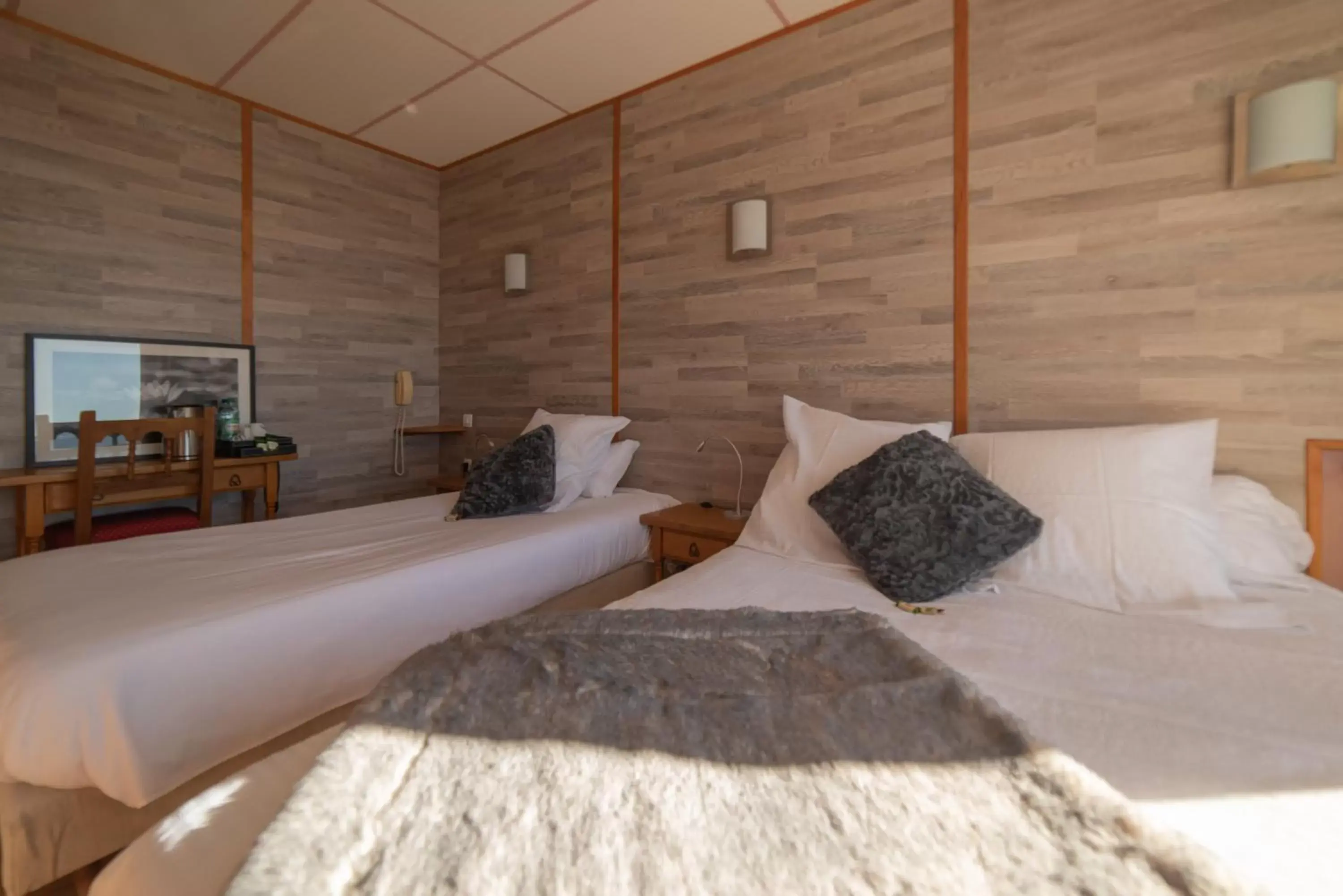 Triple Room with City View in Hotel des Pyrénées Triple Room with City View in Hotel des Pyrénées