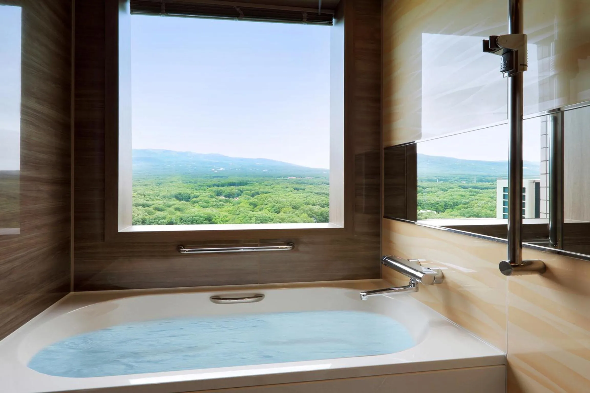 Shower in Hotel Epinard Nasu