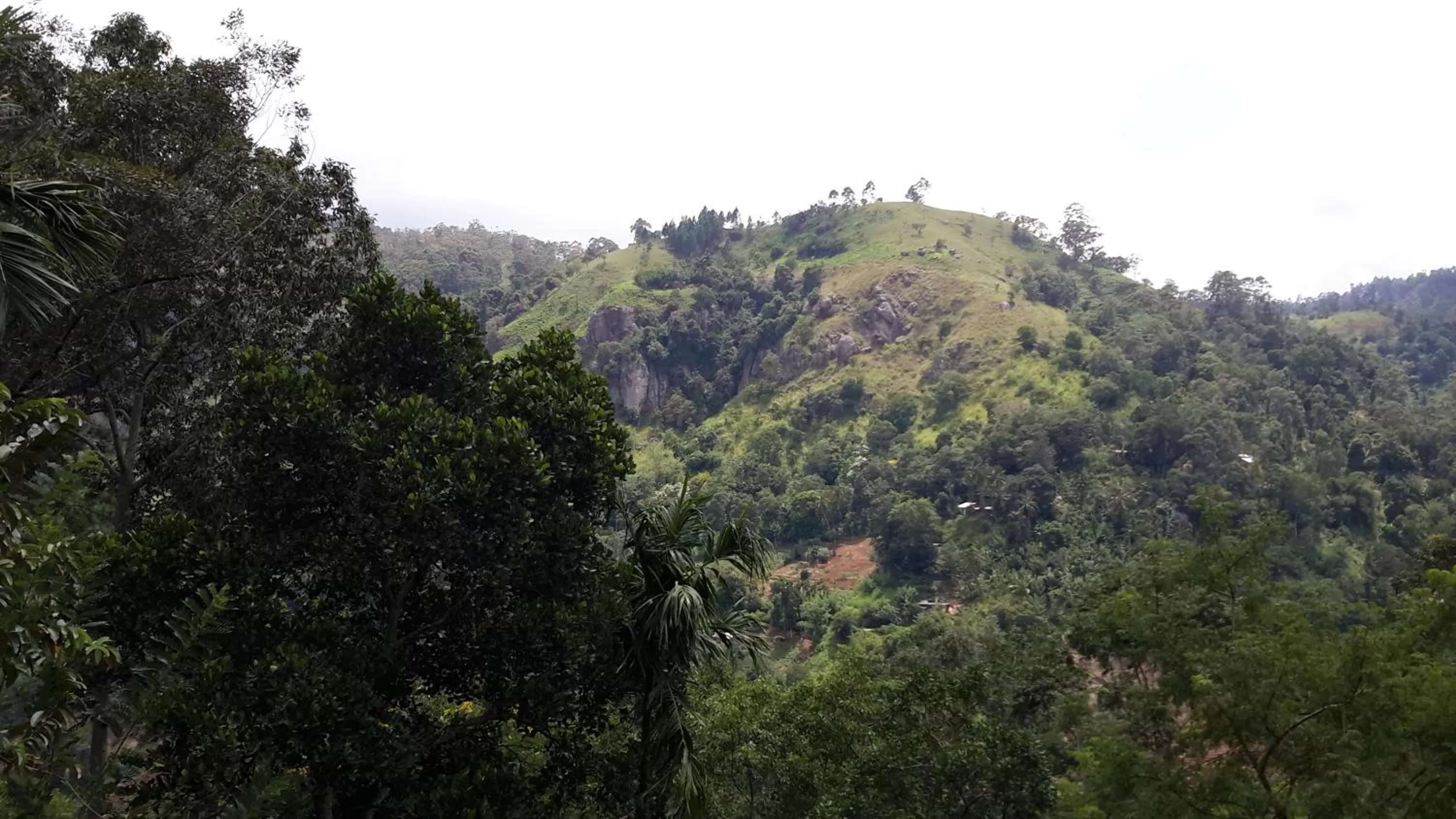 View (from property/room), Natural Landscape in Raveena Guest House