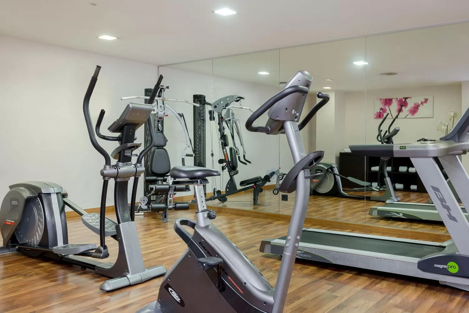 Fitness centre/facilities in Exe Moncloa