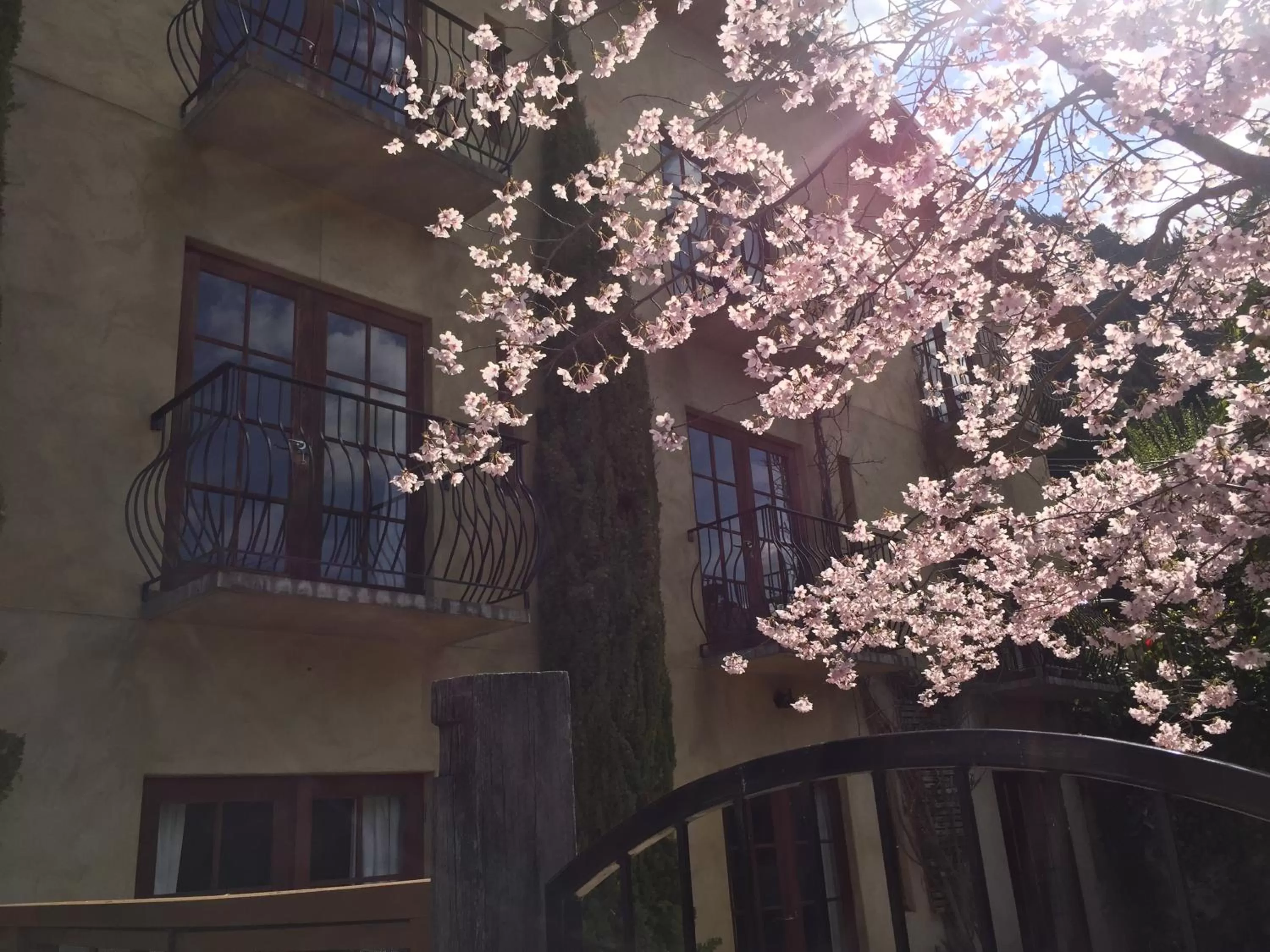 Patio in Browns Boutique Hotel
