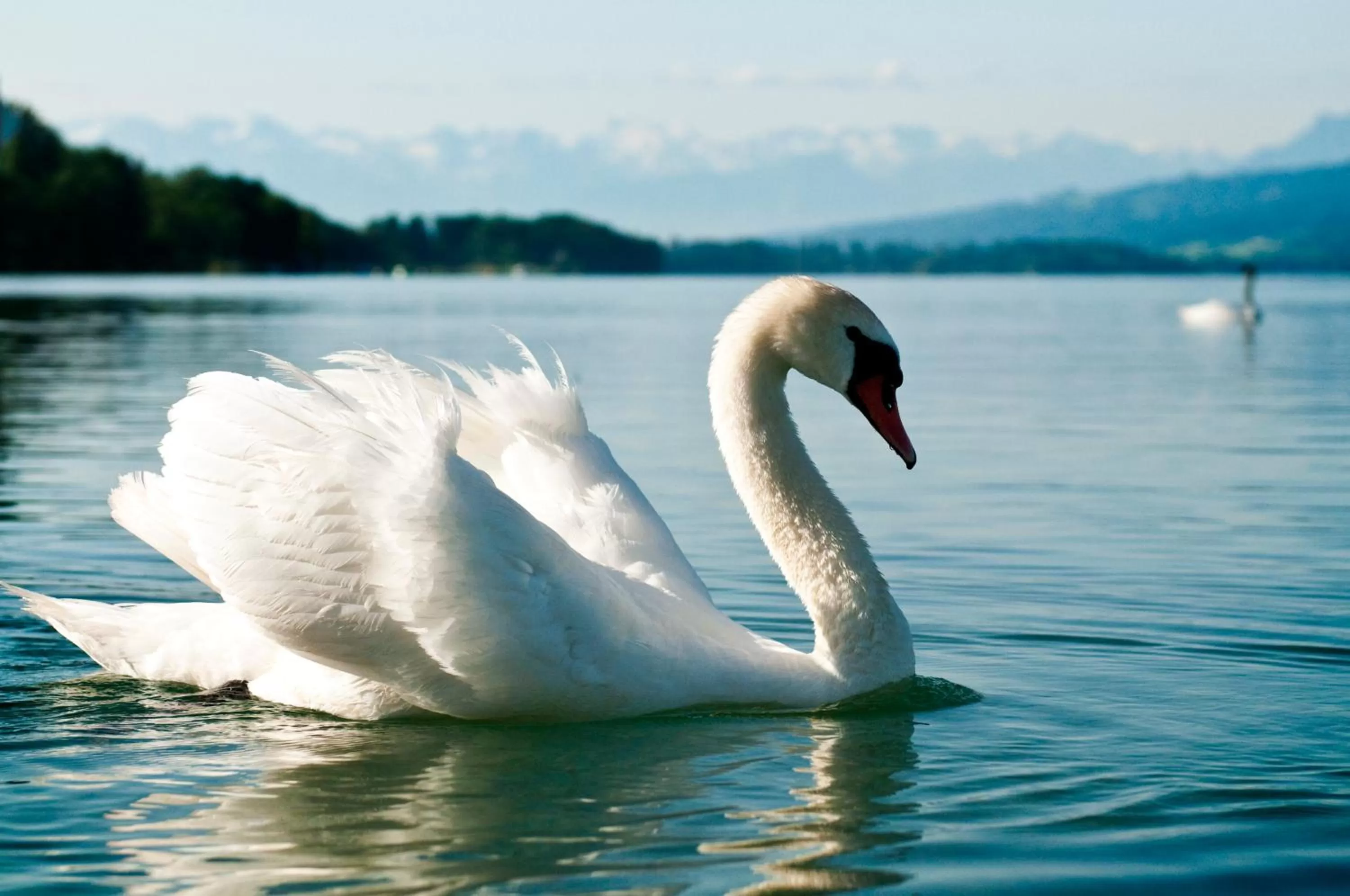 Bird's eye view in Seehotel Delphin