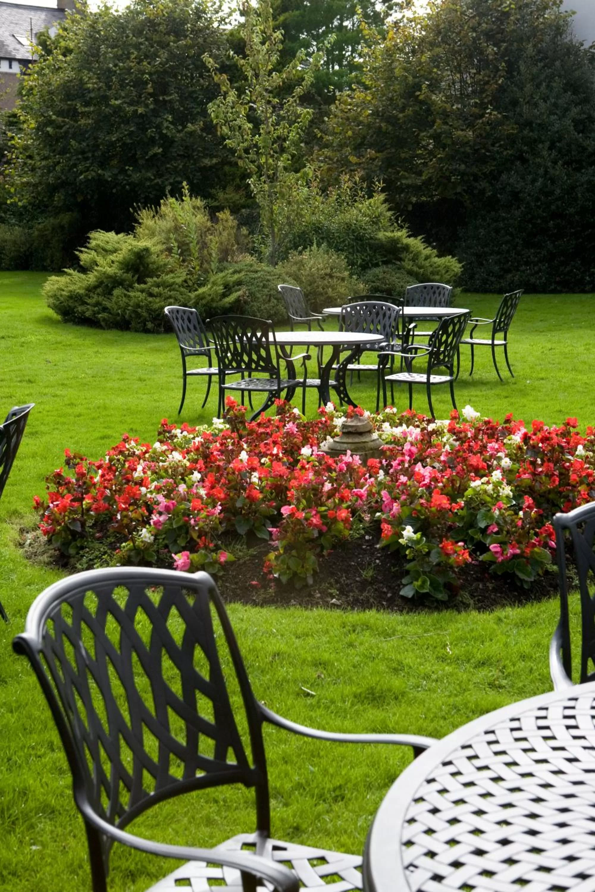 Garden in Trout Hotel