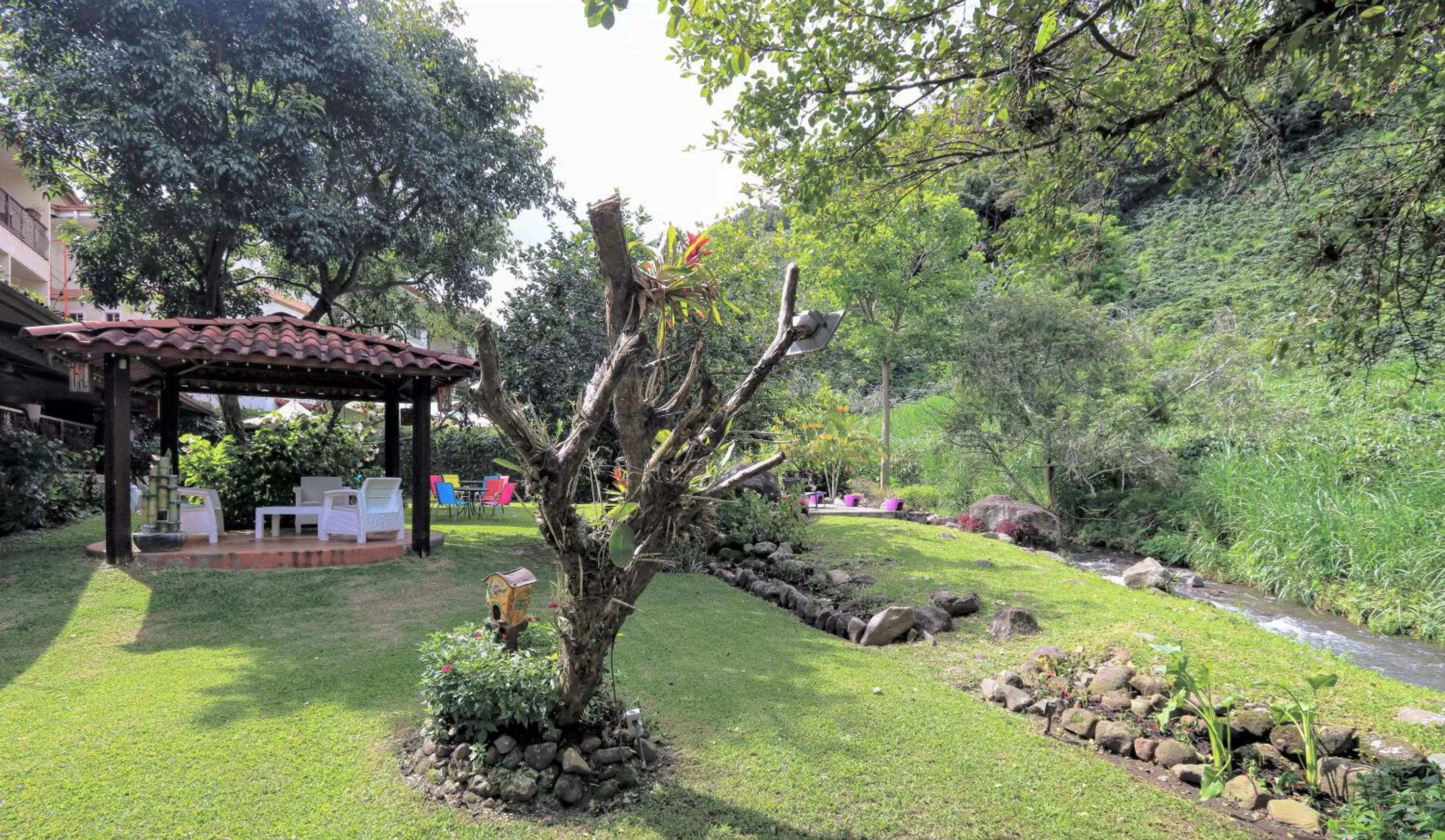 Garden in Hotel Valle del Rio