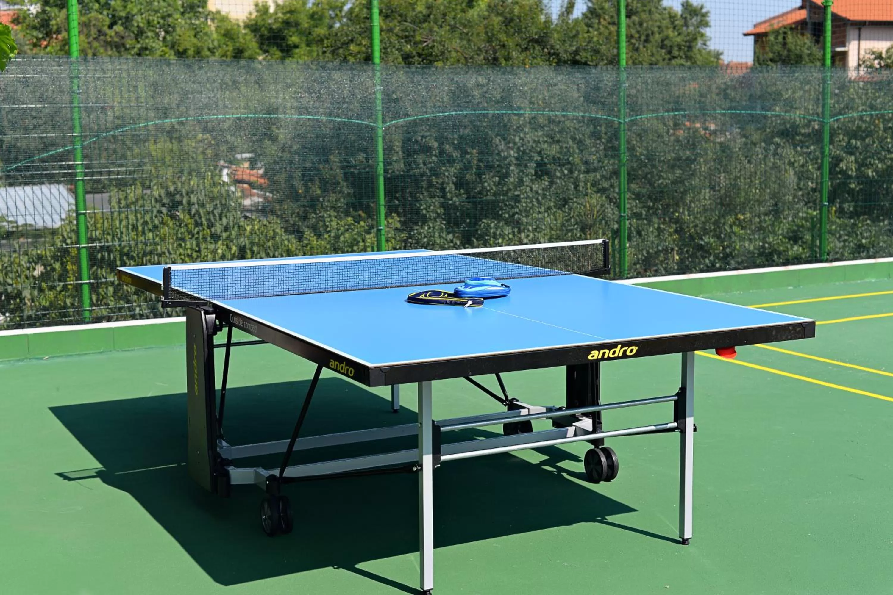 Table Tennis in Family Art-Hotel Zora