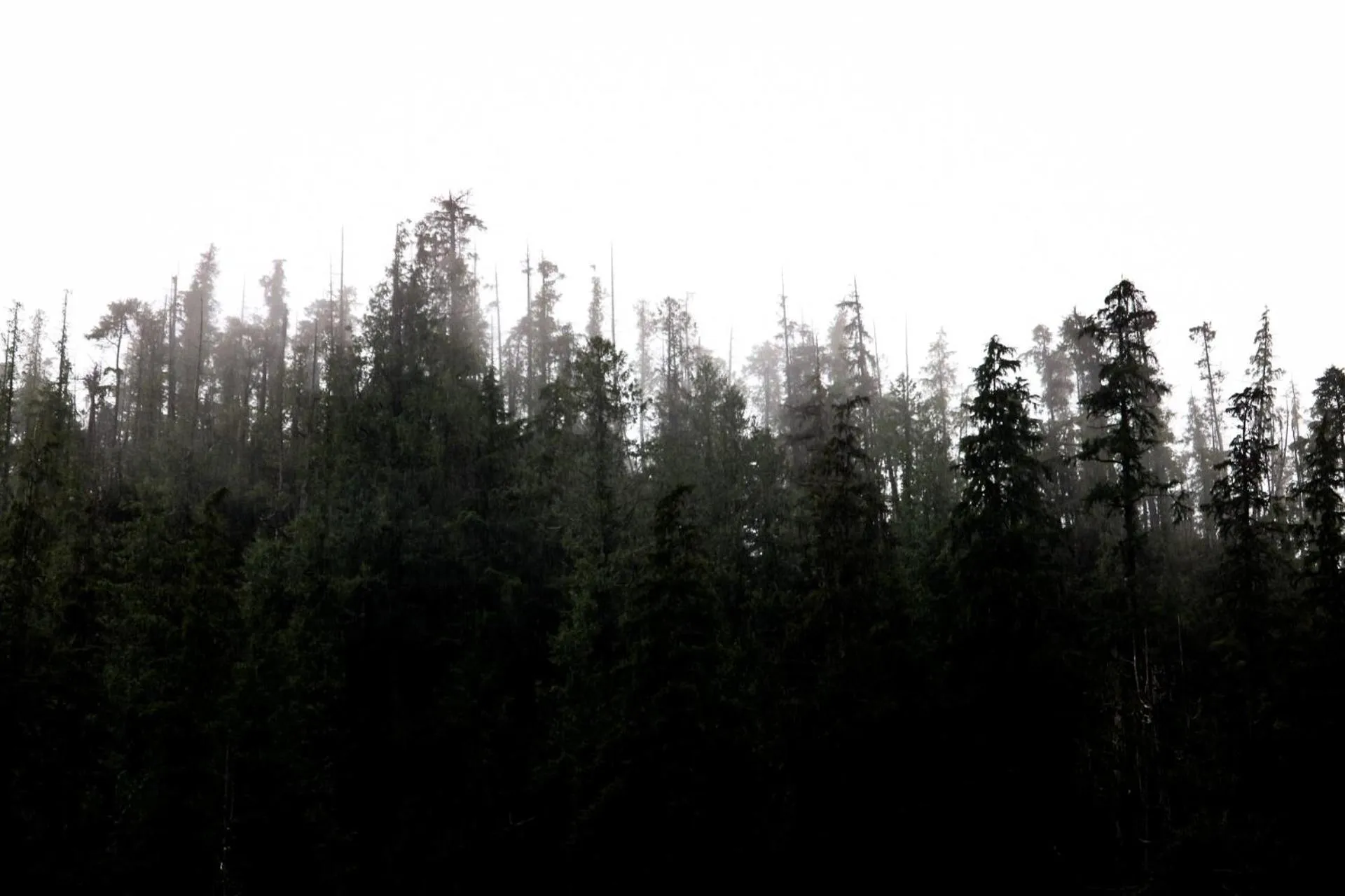 Natural landscape in Pluvio restaurant and rooms