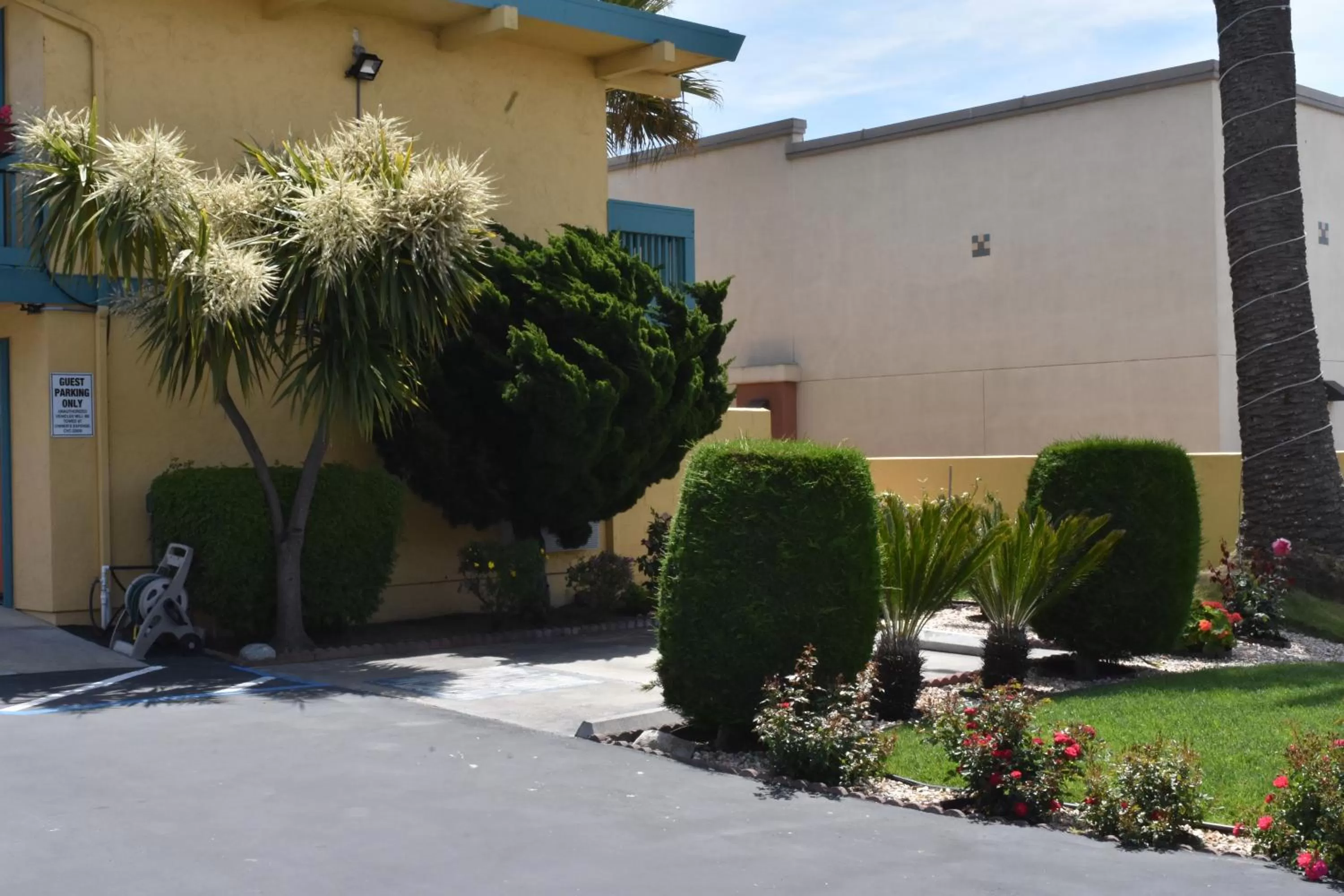 Garden in Seaside Inn Monterey