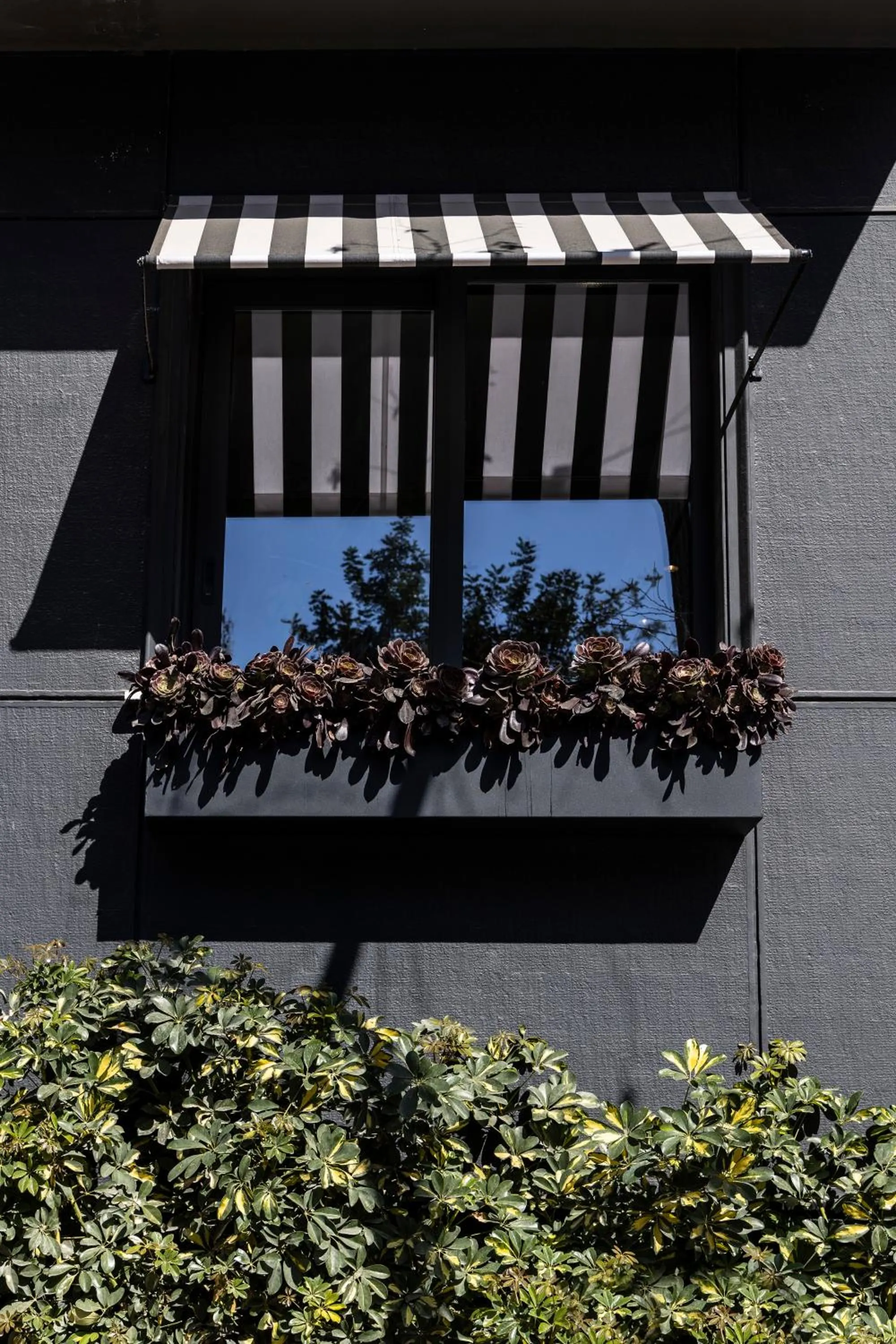 Property building in The Modernist Athens