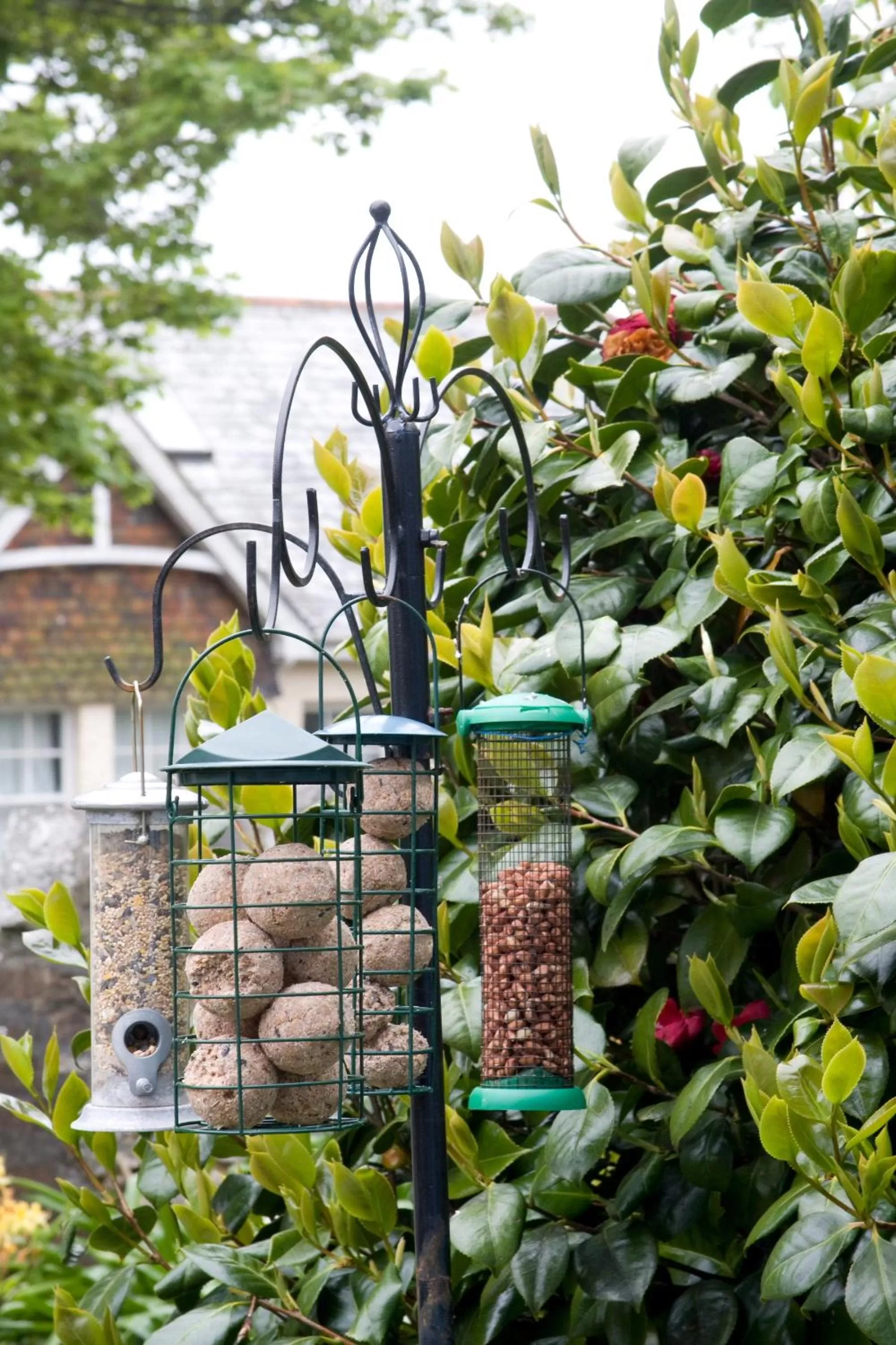Garden in Lyonesse Guest House