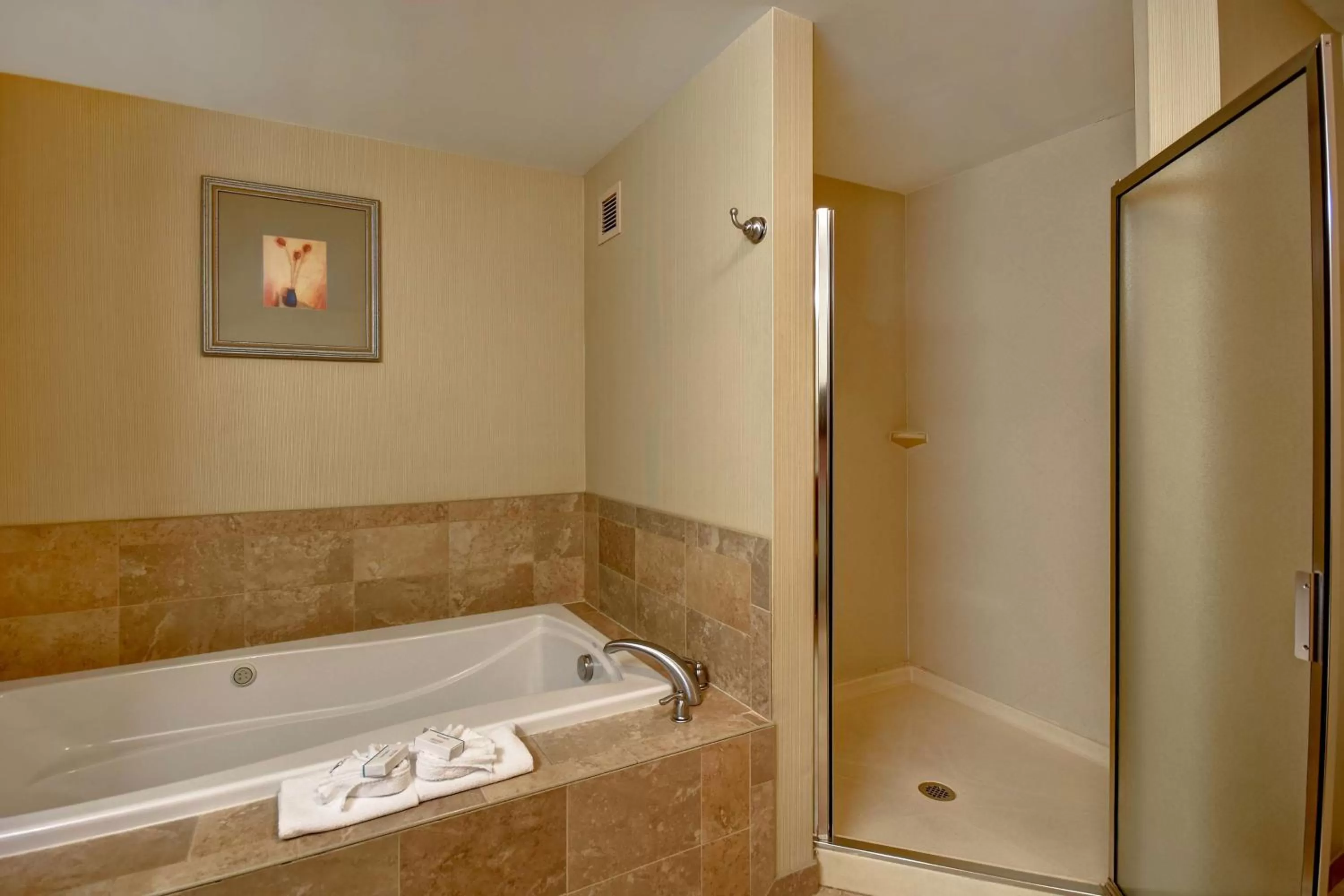 Bathroom in Hampton Inn Rutland/Killington