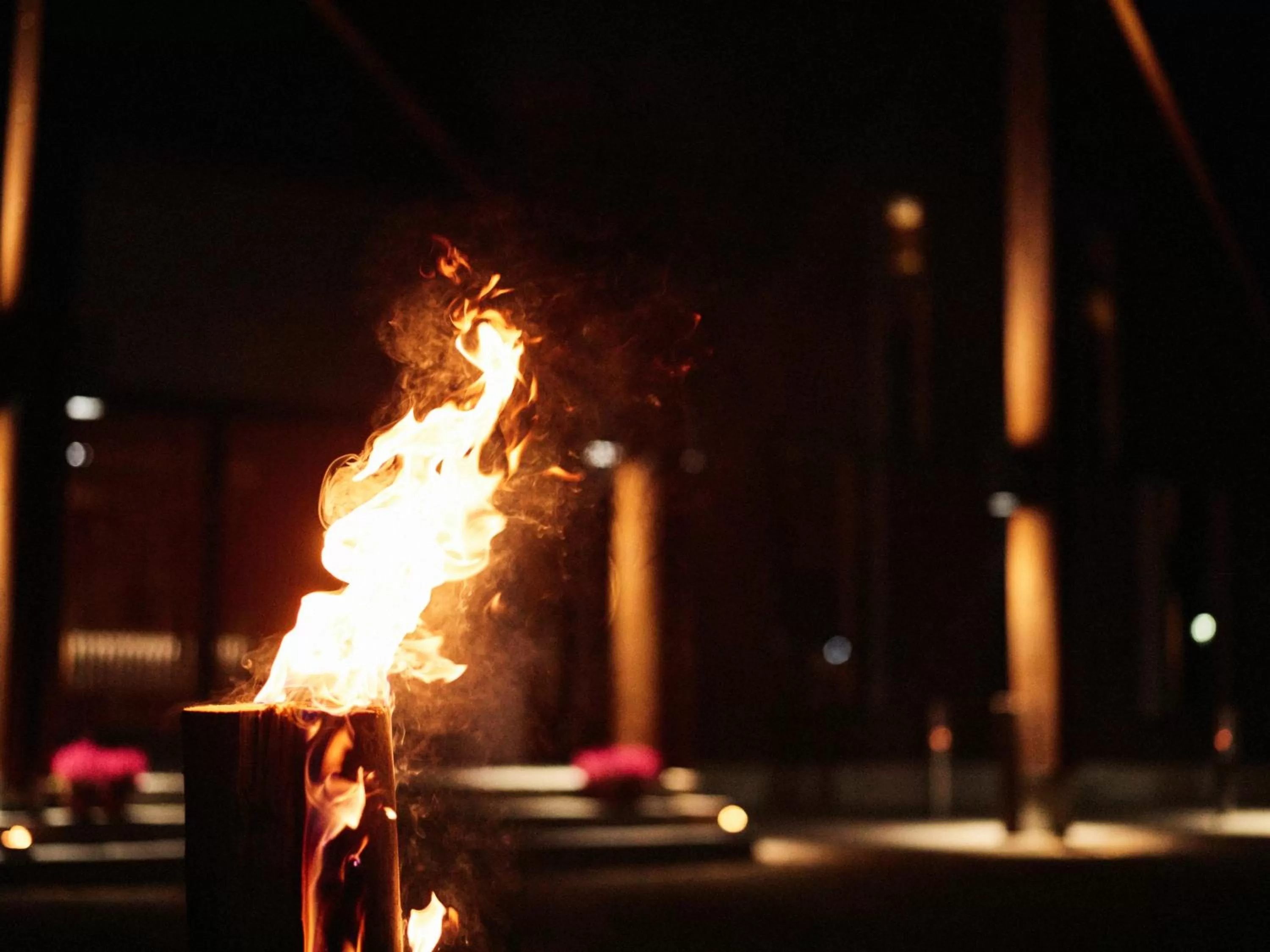 Winter in Nova Skyland Hotel