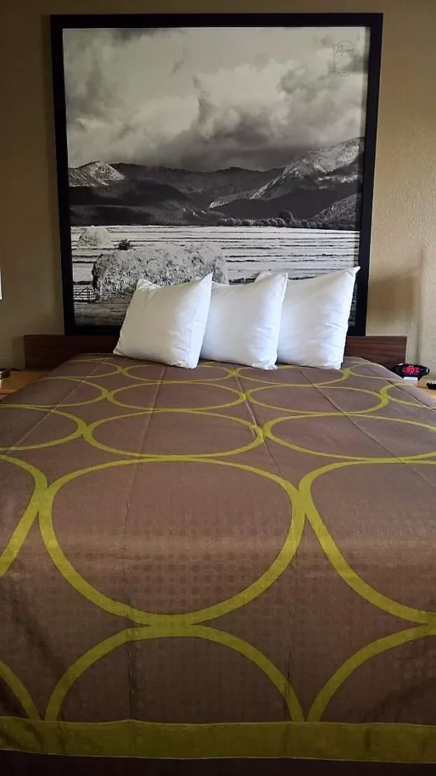 Bed in Super 8 by Wyndham Dillon