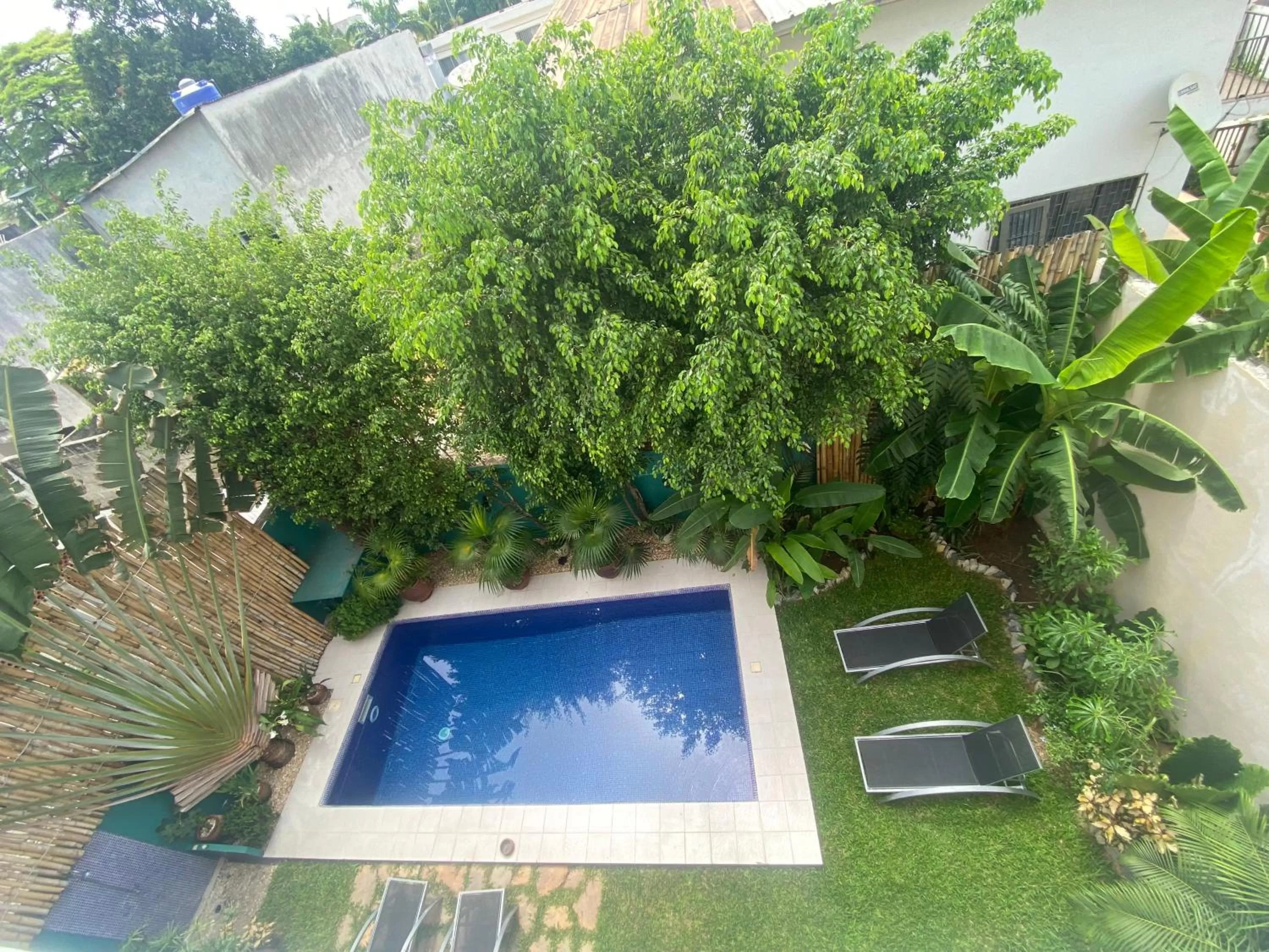 Swimming Pool in L'Oasis Guesthouse