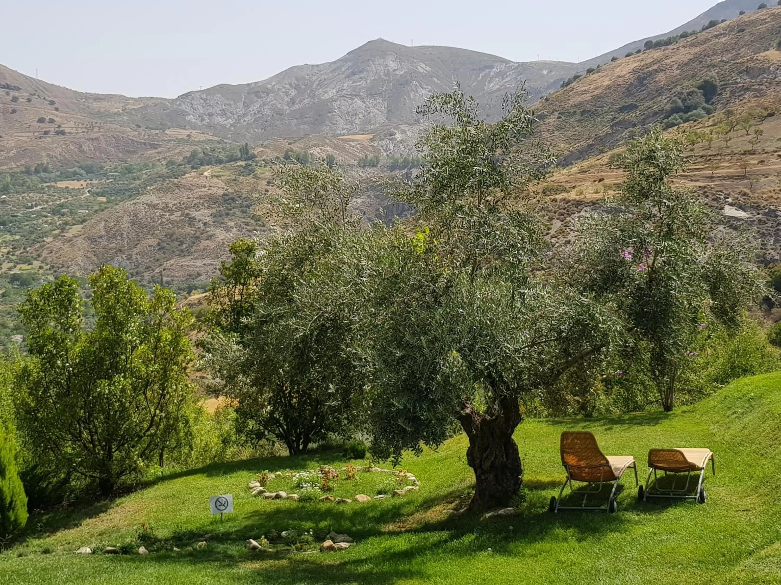 Garden in La Almunia del Valle