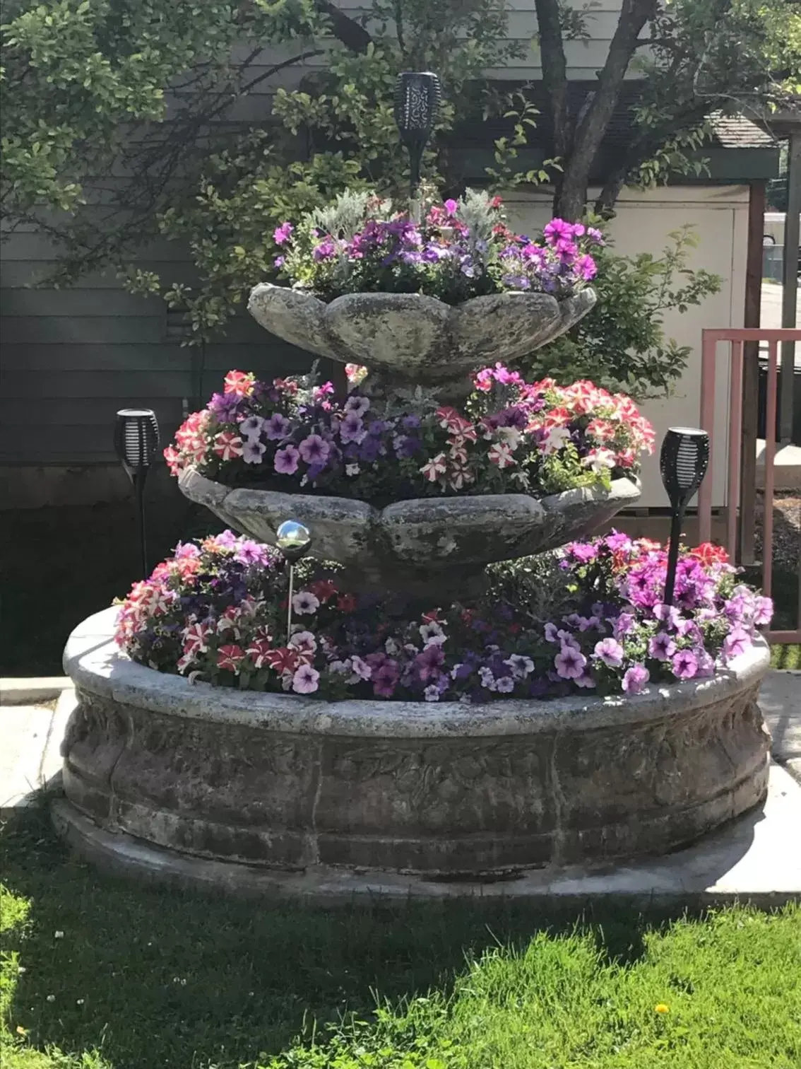 Blue Spruce Inn-Meeker, Colorado Blue Spruce Inn-Meeker, Colorado