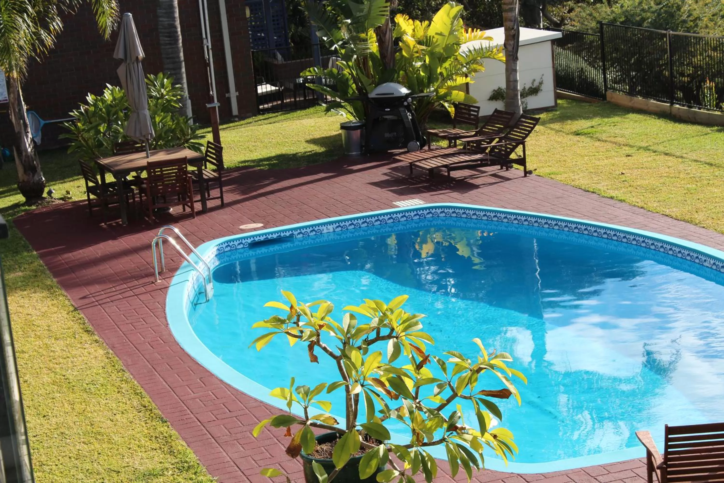 Garden, Swimming Pool in The Whale Inn