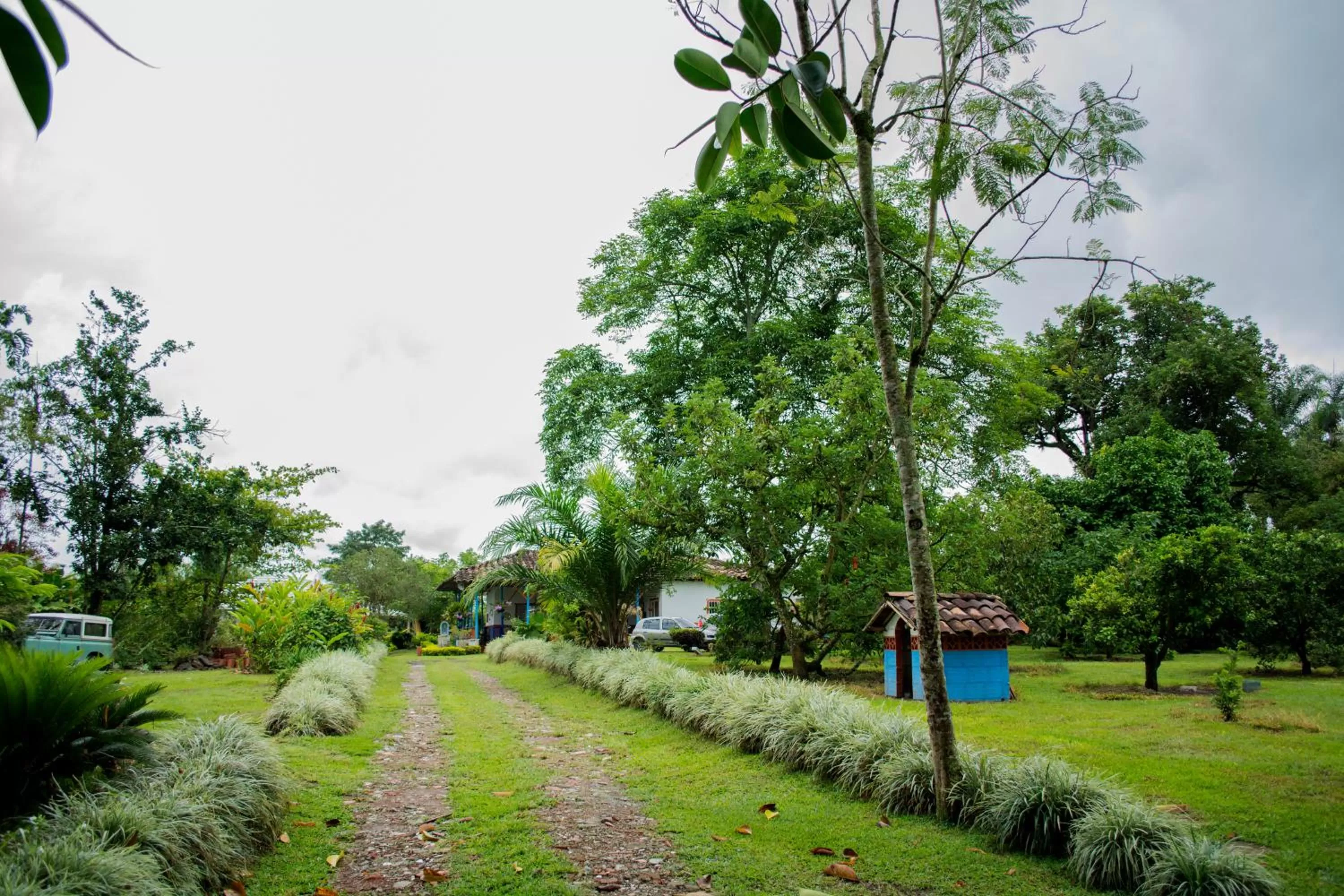 Natural landscape, Garden in Balsora Hotel Boutique