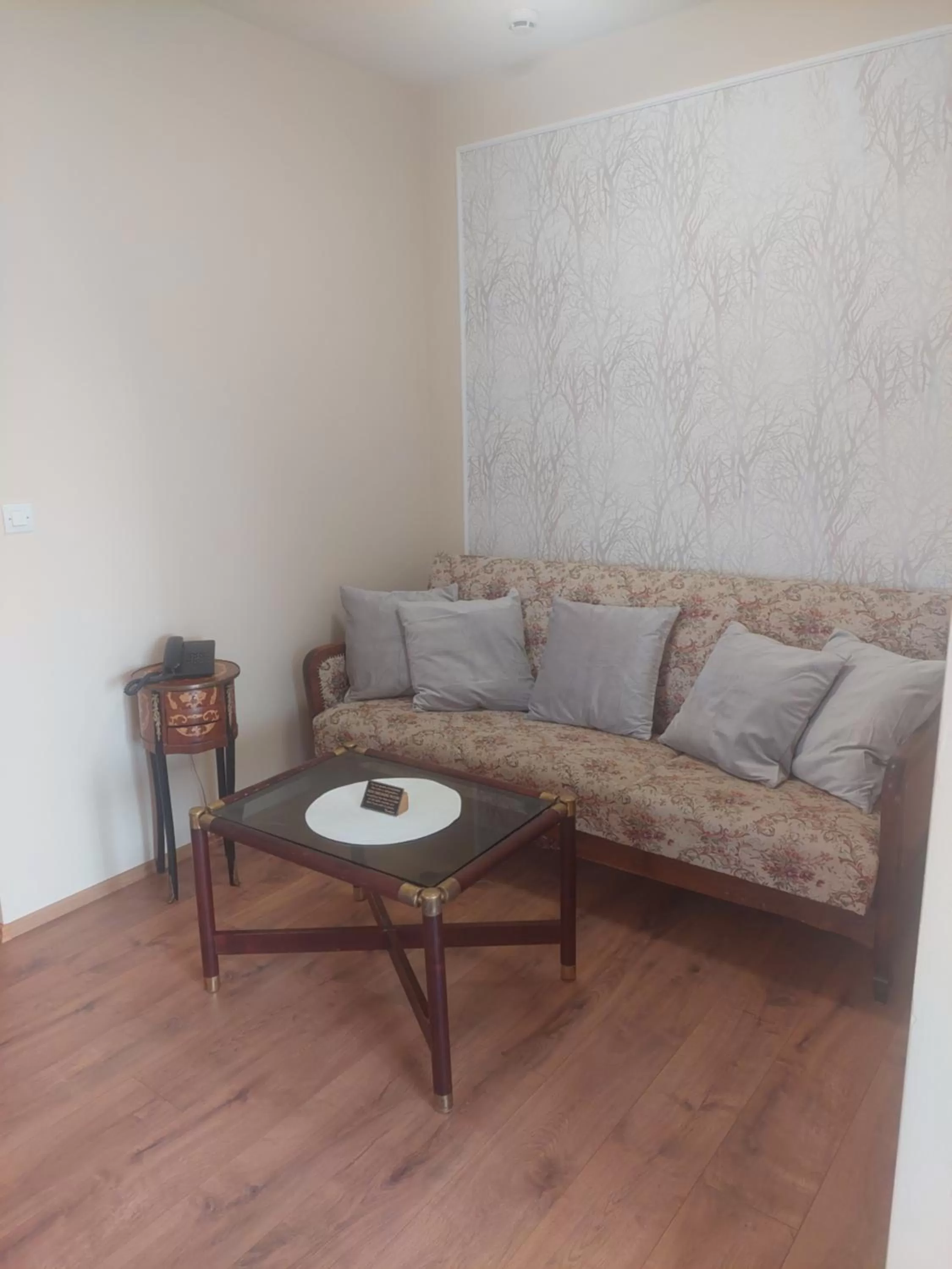 Photo of the whole room, Seating Area in Hotel Panorama