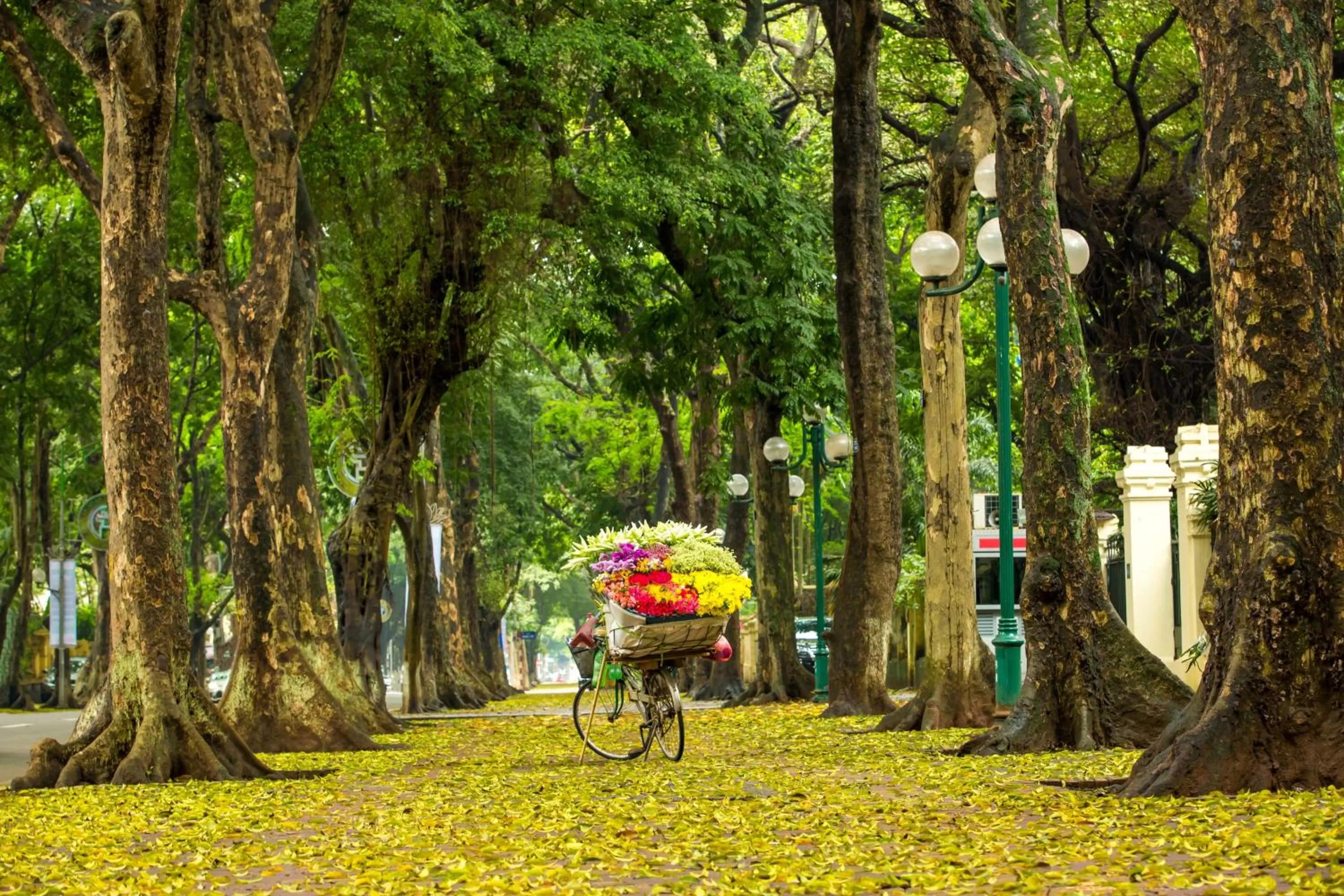Nearby landmark in Hanoi Center Silk Hotel & Travel