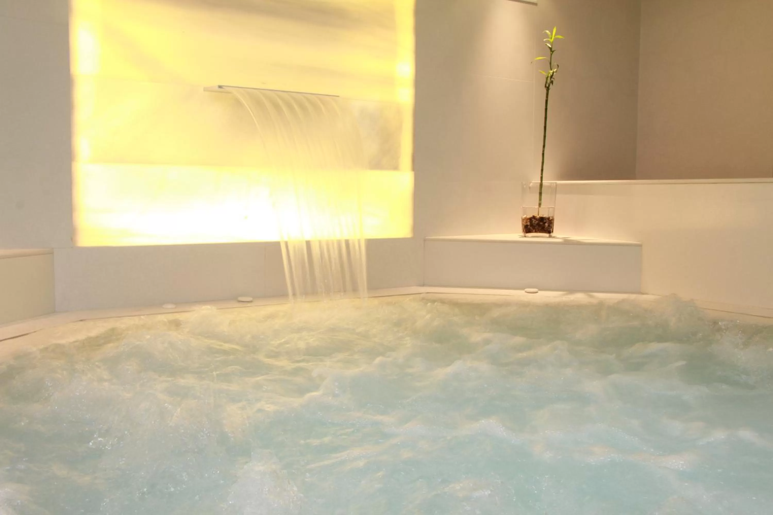 Hot Spring Bath in Del Mar Hotel & Spa