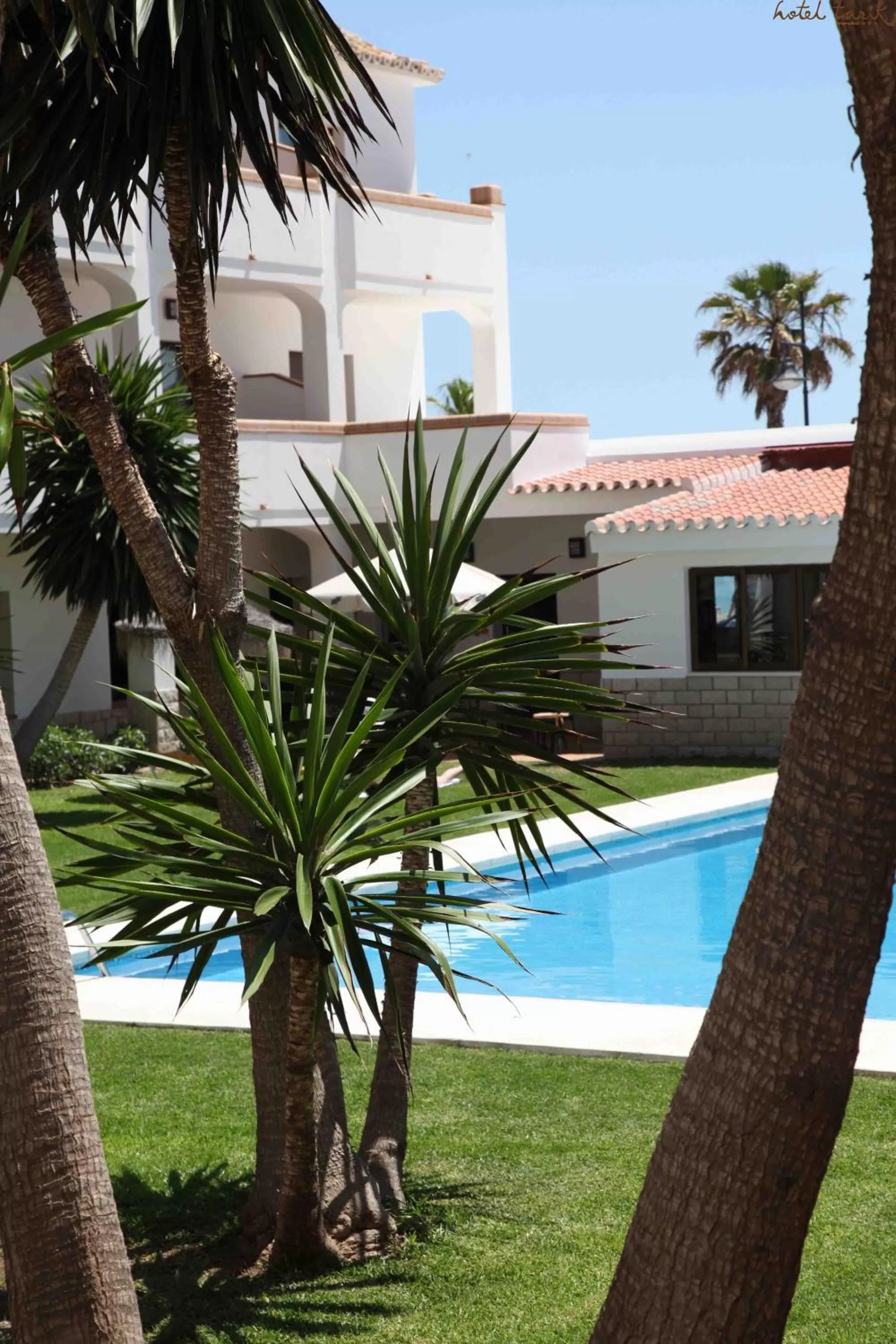 Swimming pool in Hotel Tarik